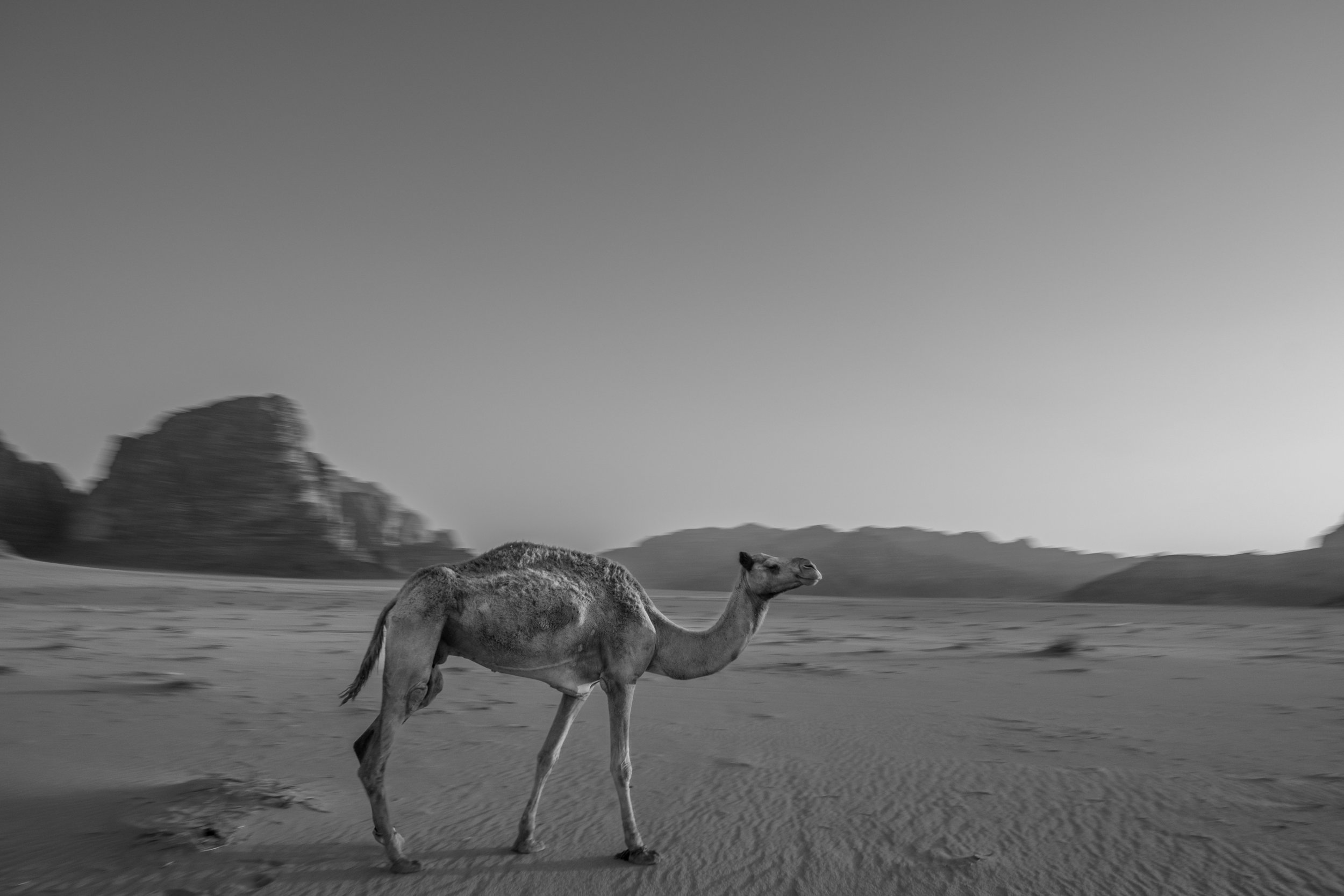 2022_08_Munther and Rosa in Jordan-21.jpg