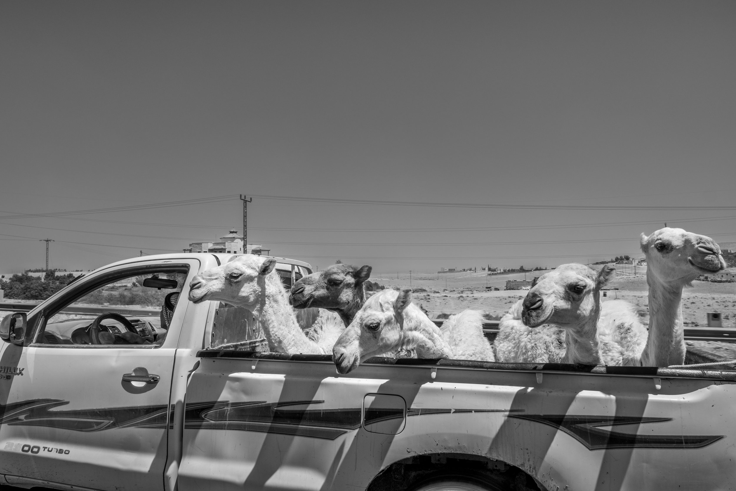 2022_08_Munther and Rosa in Jordan-28.jpg