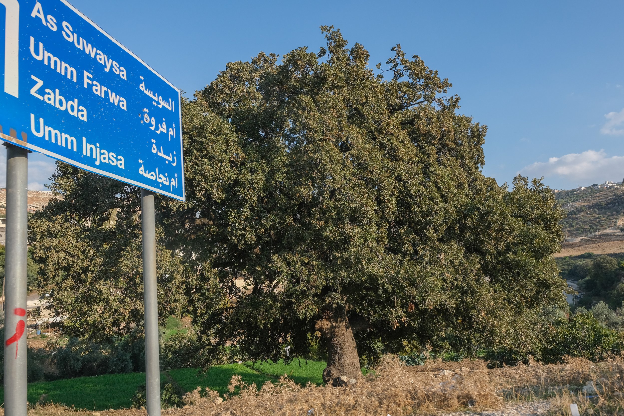 DSCF9714.jpg