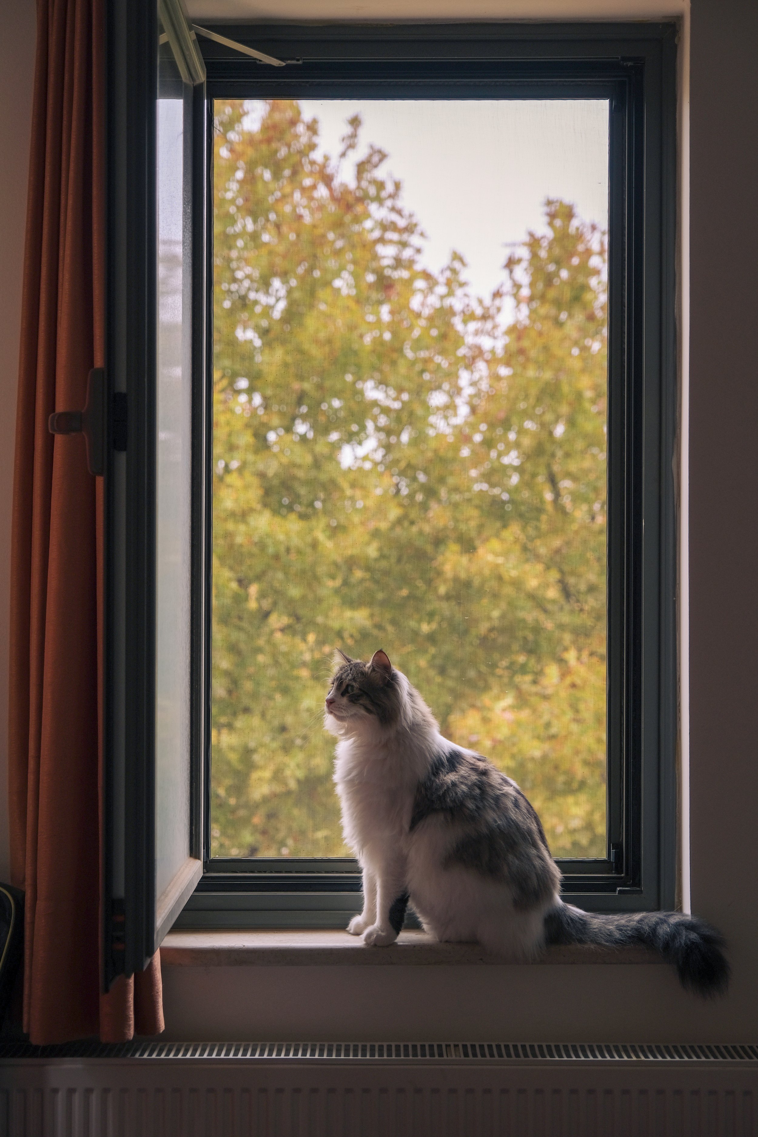 DSCF0038.jpg