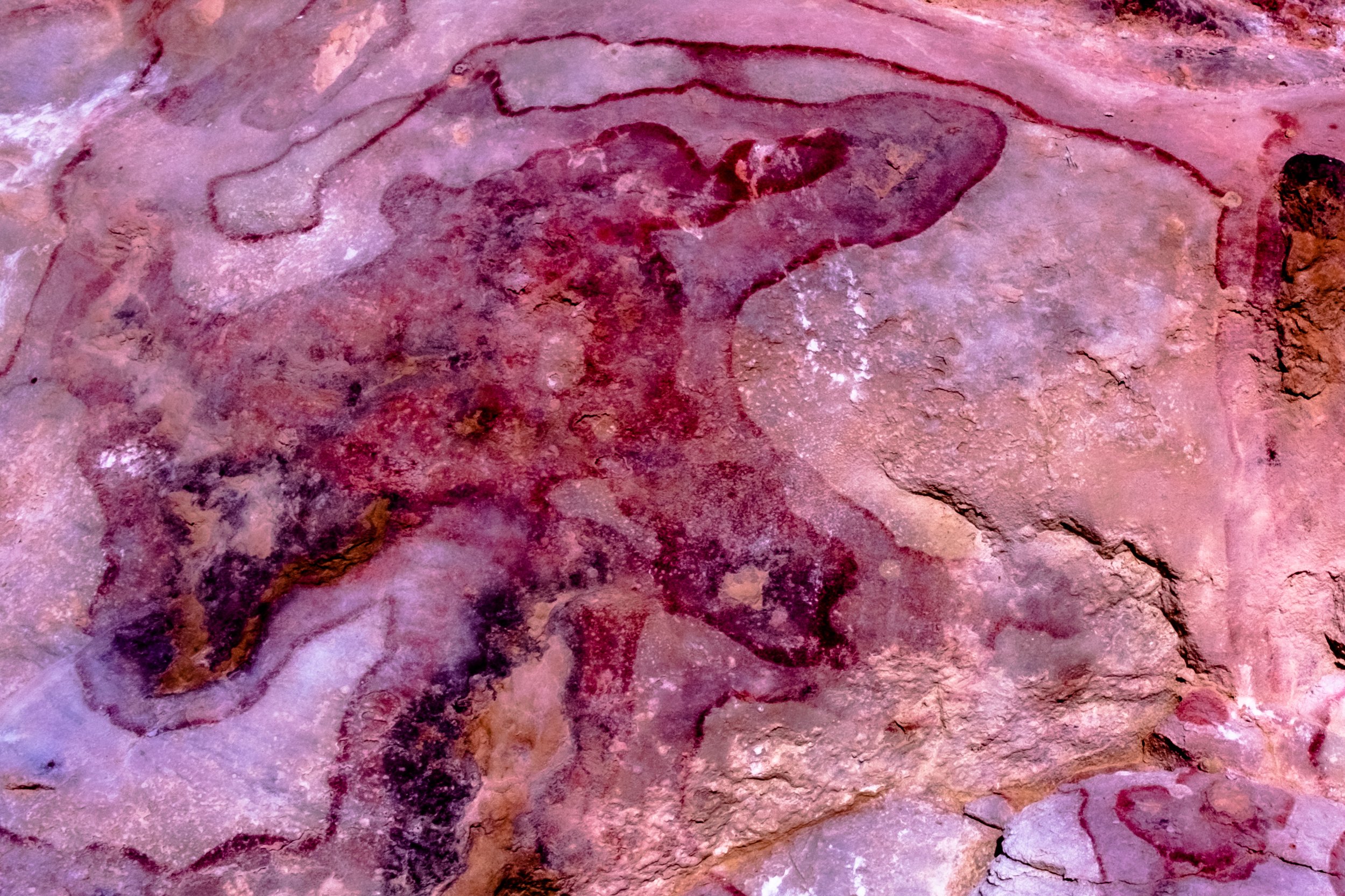 DSCF3594.jpg