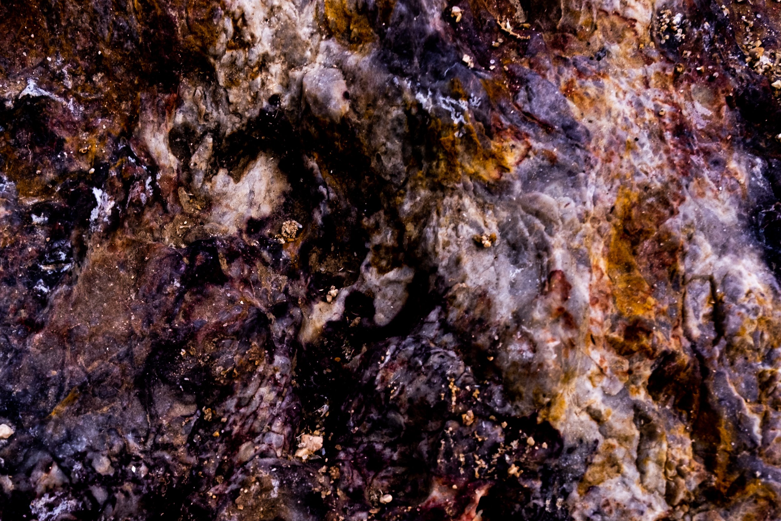 DSCF3729.jpg
