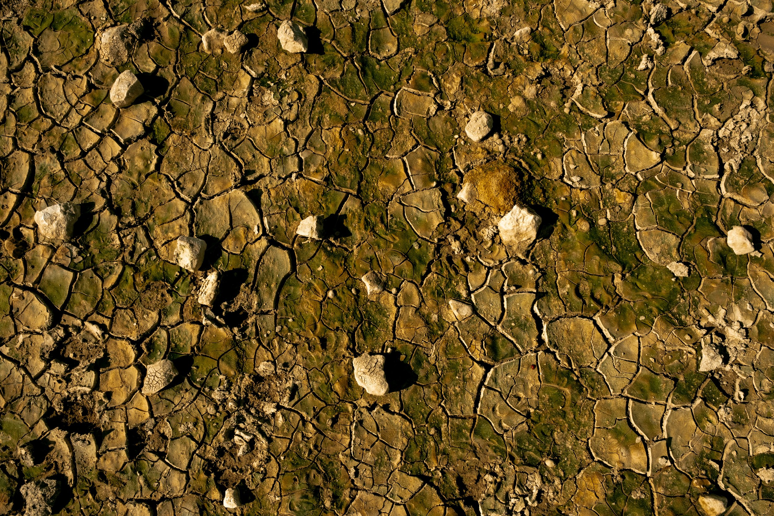 DSCF3573.jpg