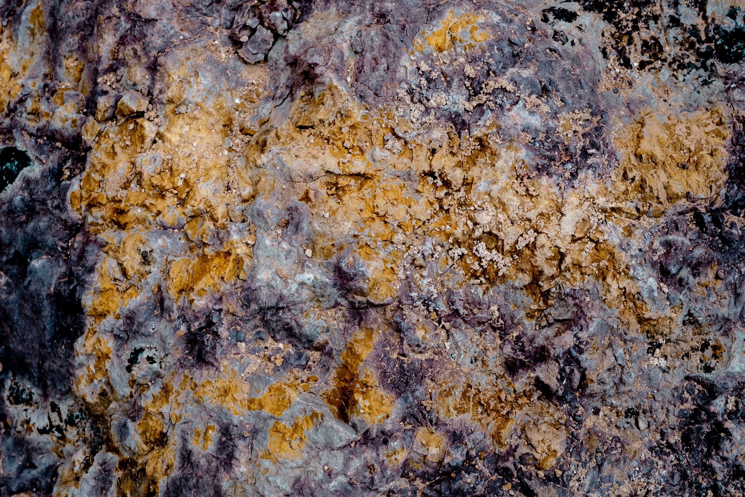 DSCF3753.jpg