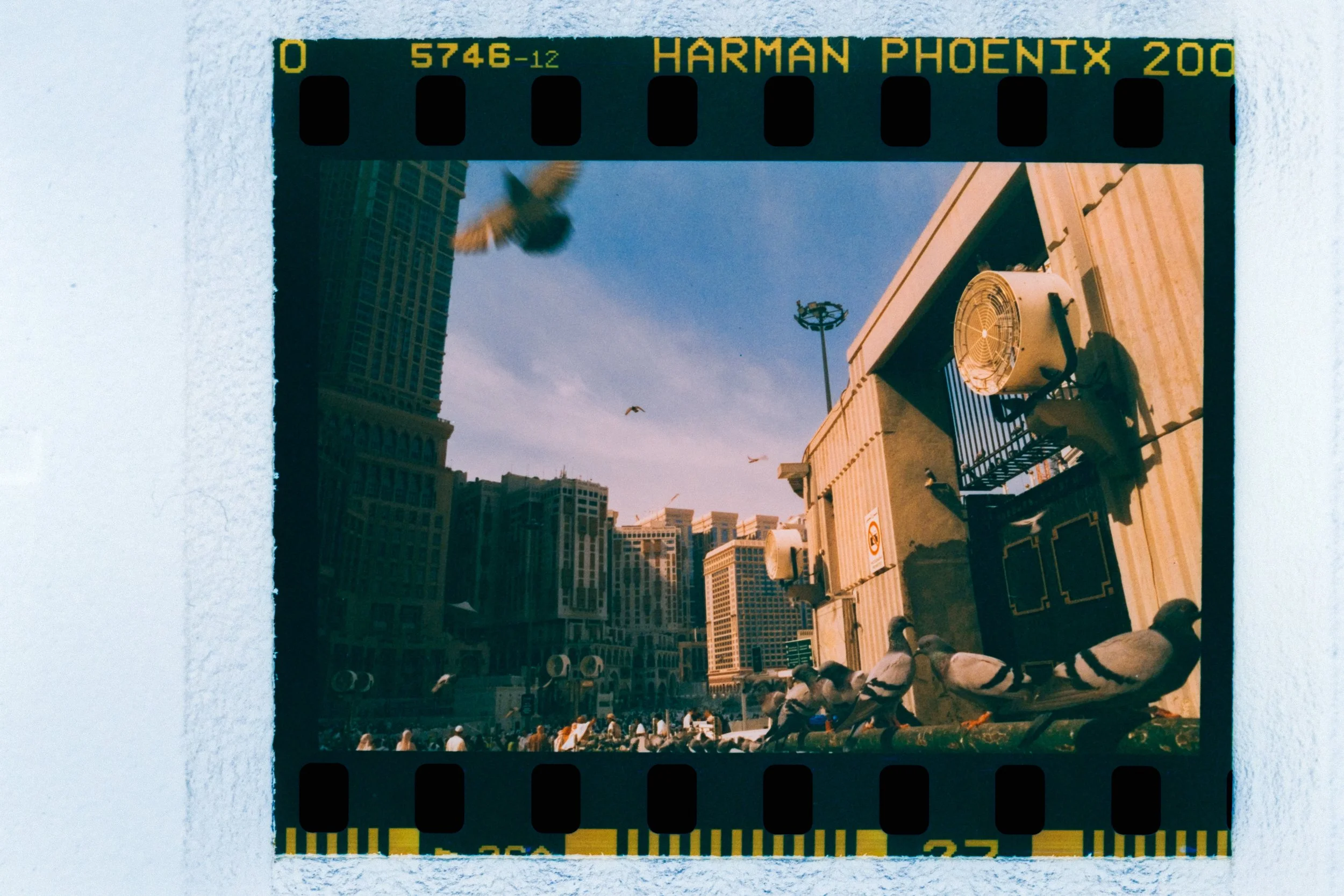 DSCF6318.jpg