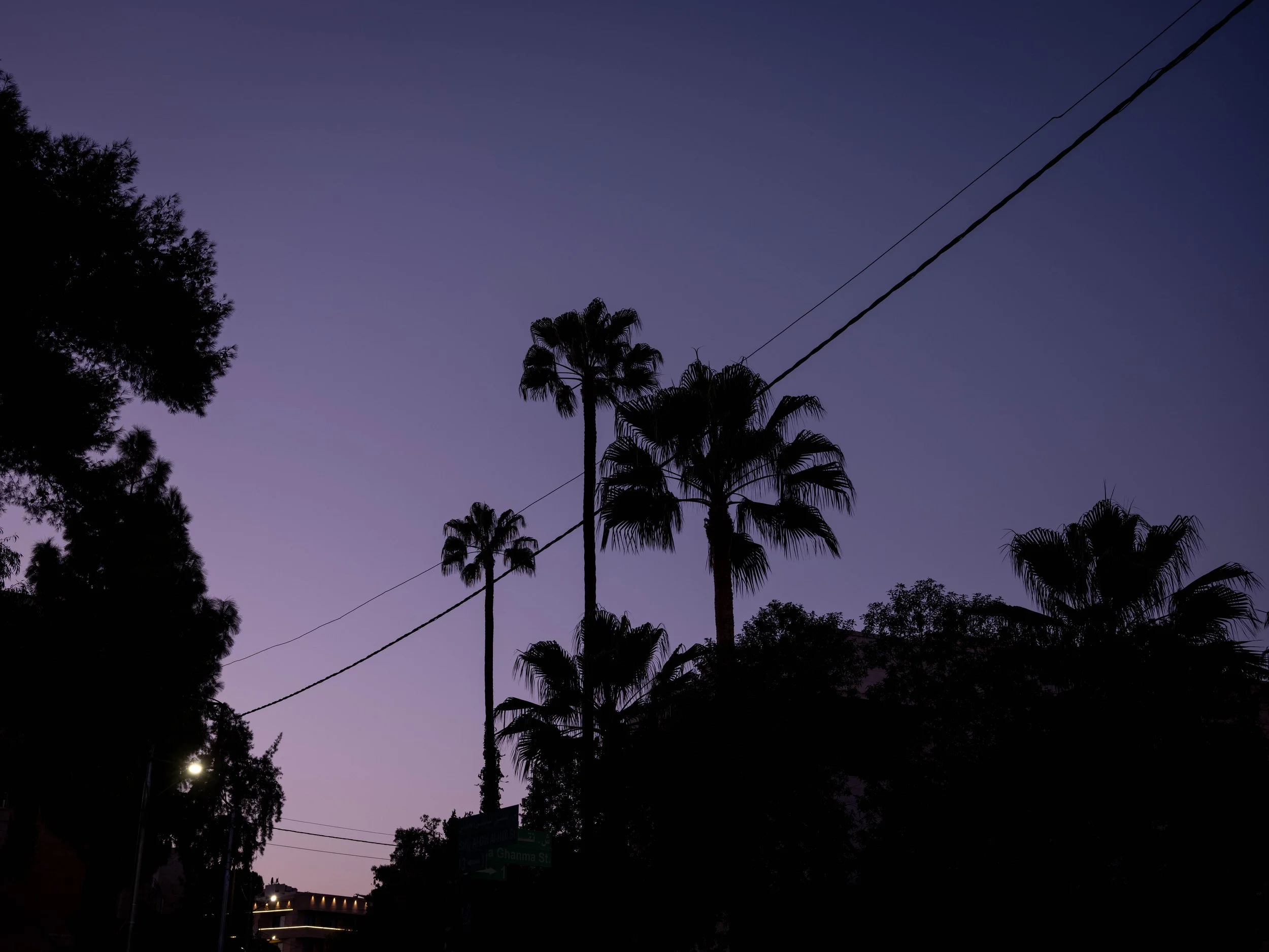 _DSF3429.jpg