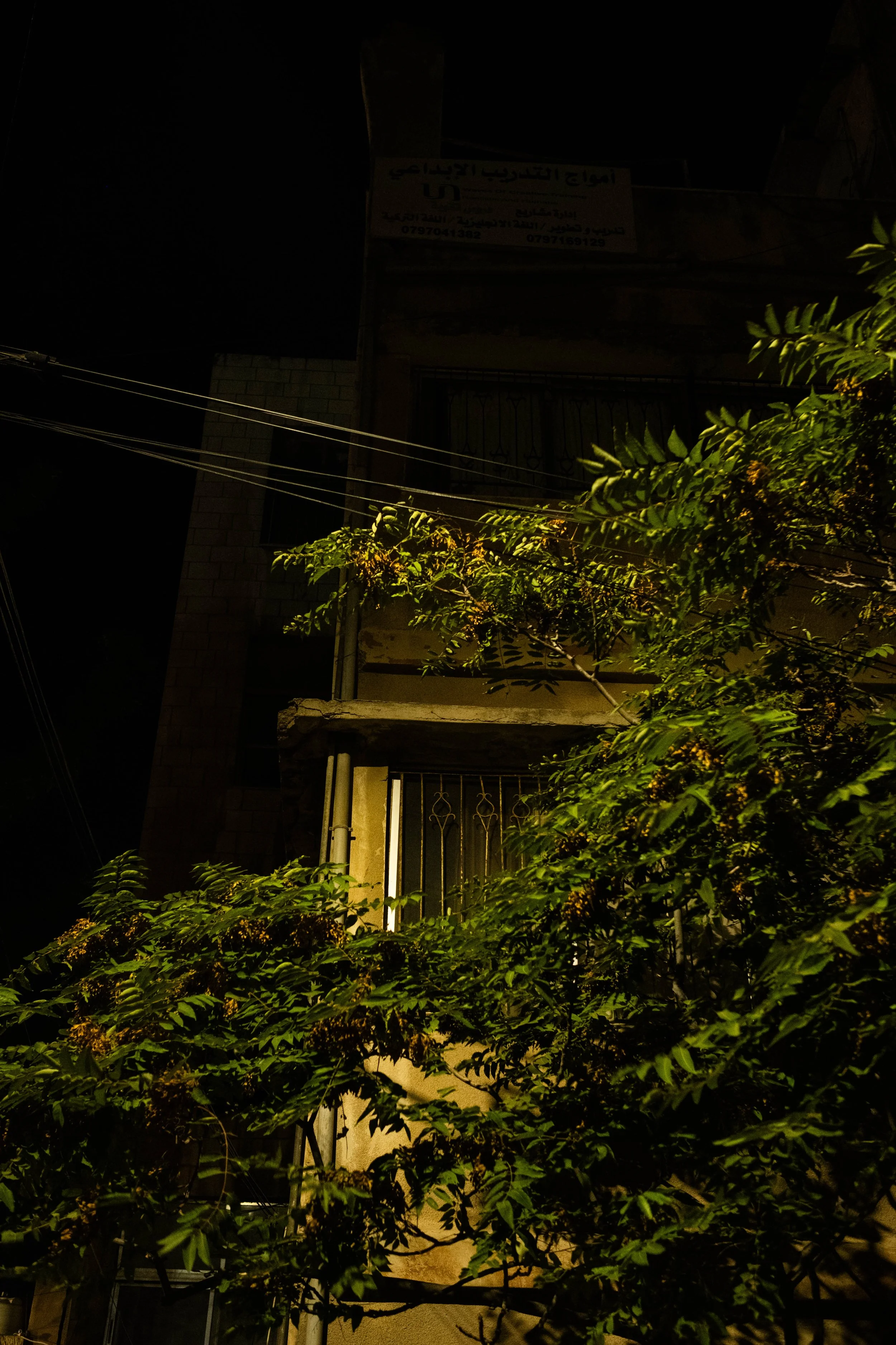 DSCF7558.jpg