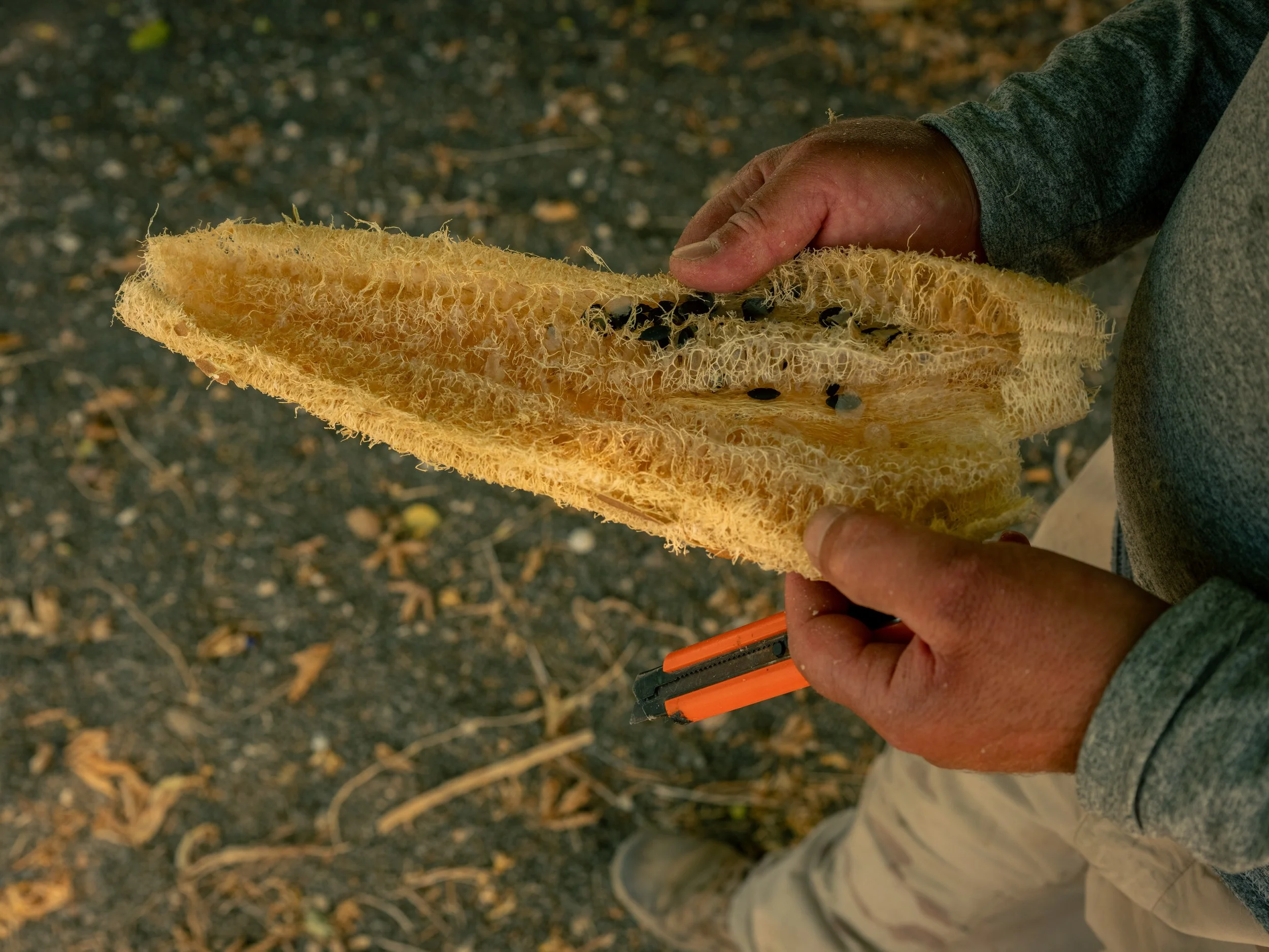 _DSF2690.jpg