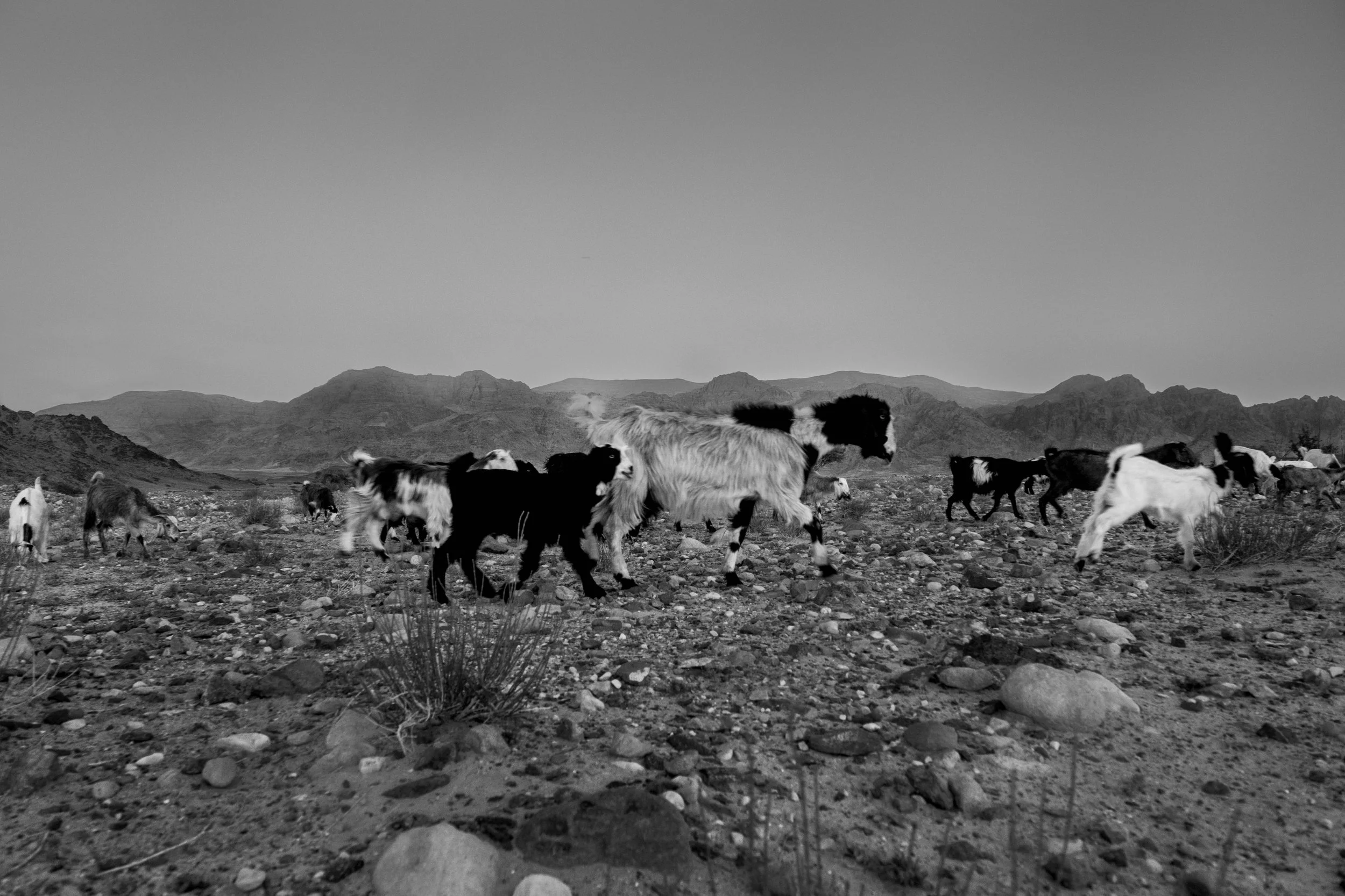 DSCF0345-Edit.jpg