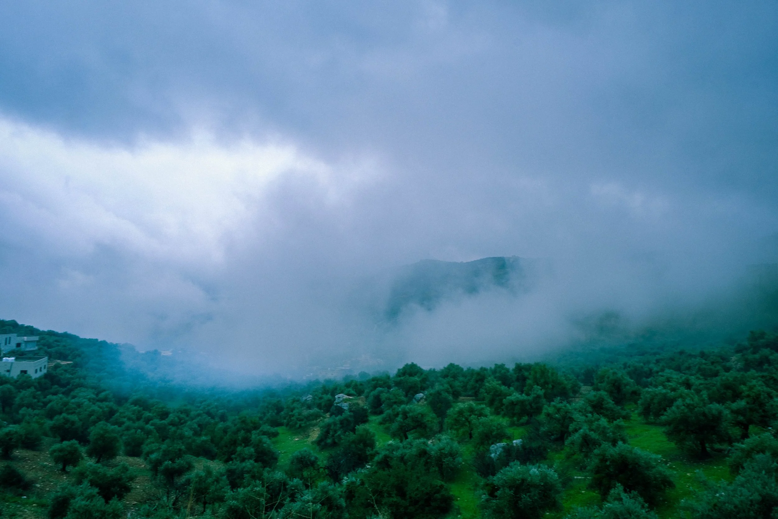 DSCF4923.jpg