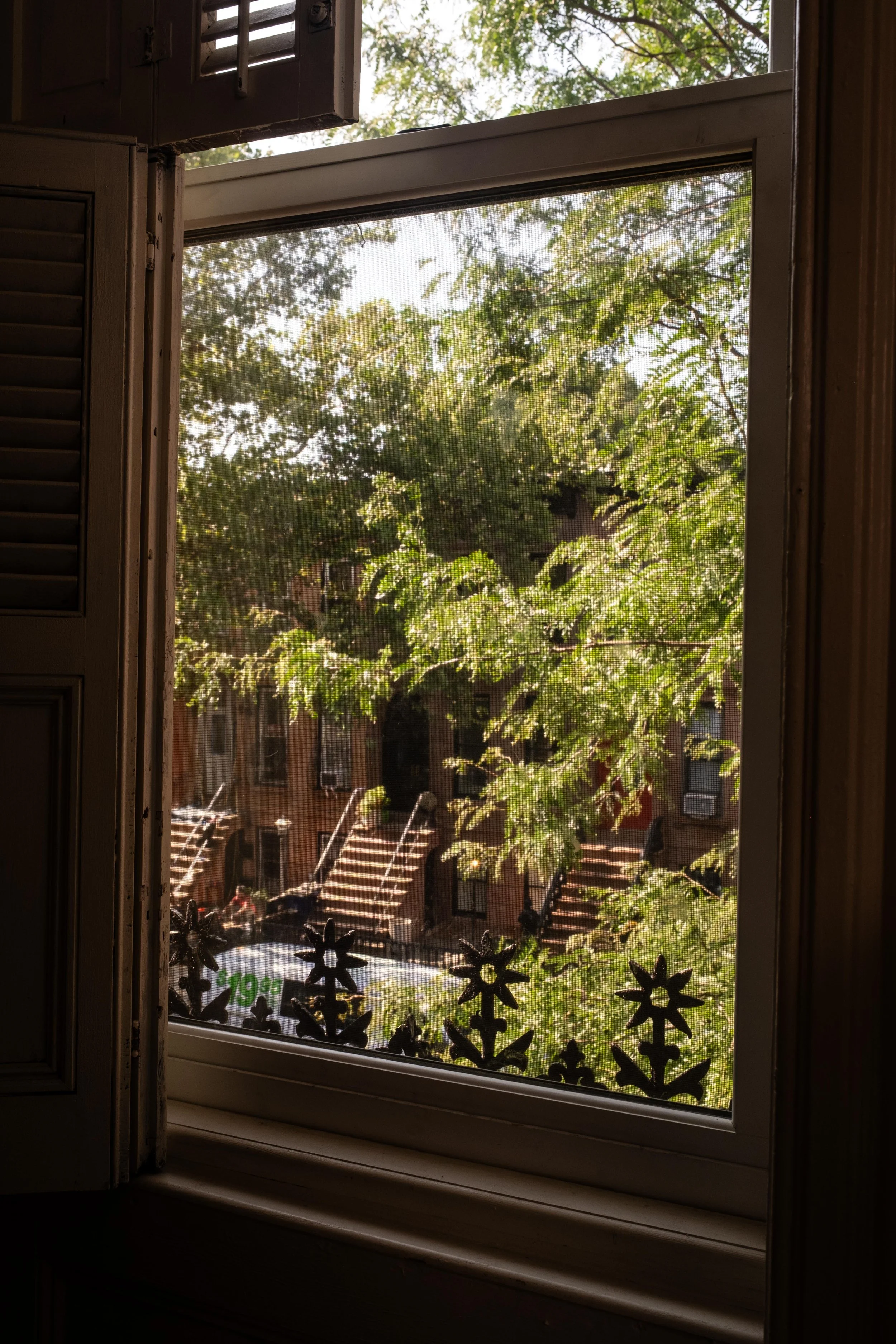 DSCF7892.jpg