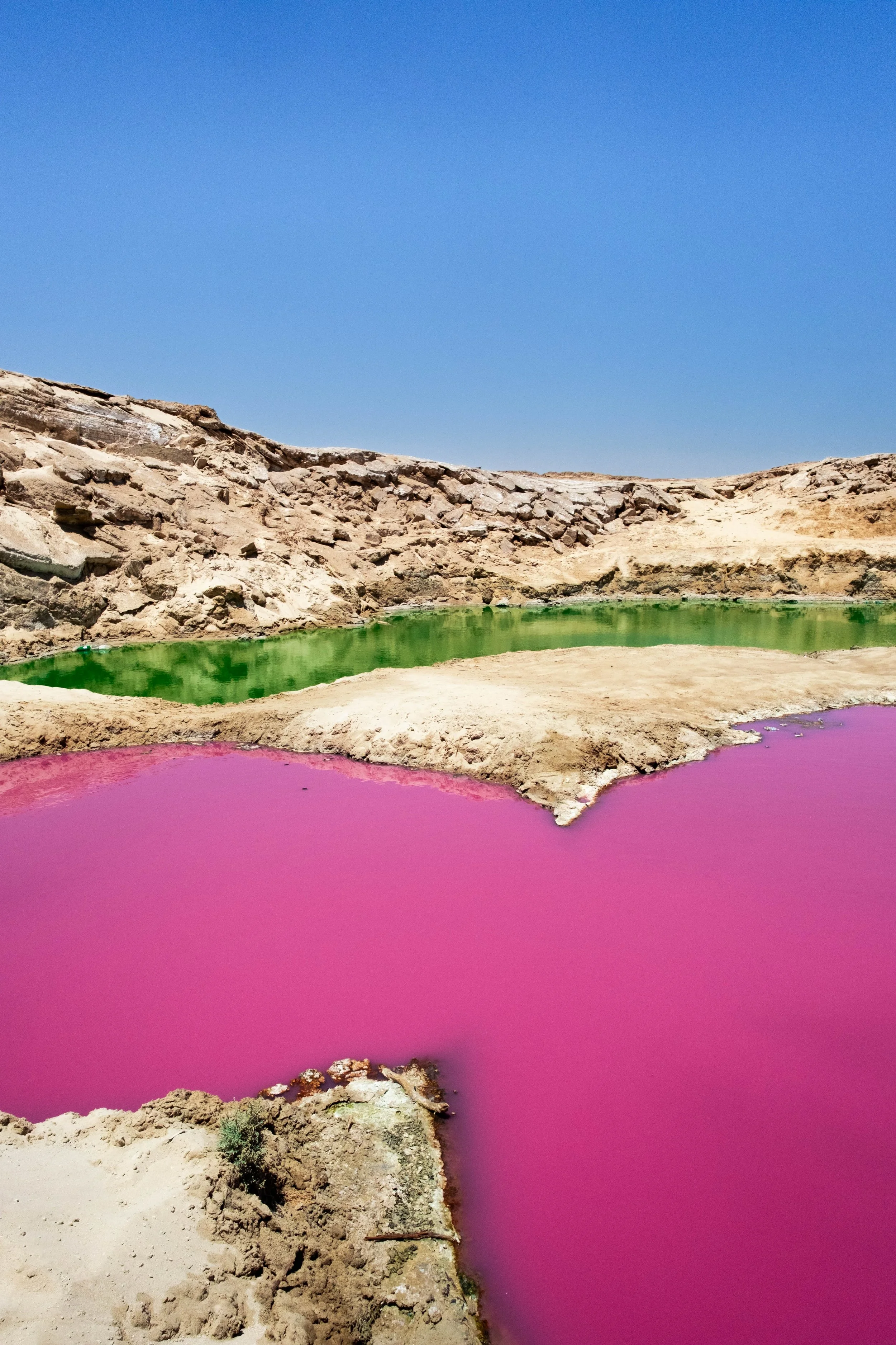 DSCF6083.jpg