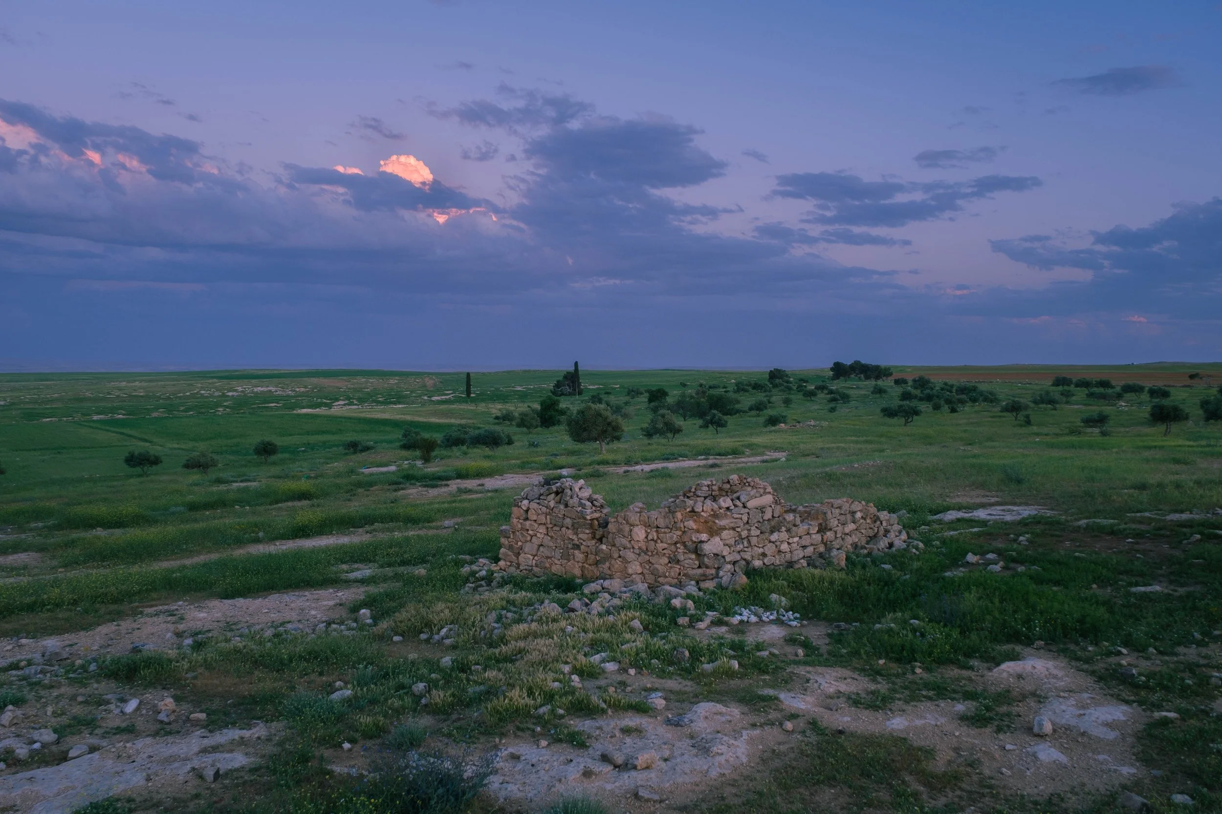 DSCF9350.jpg