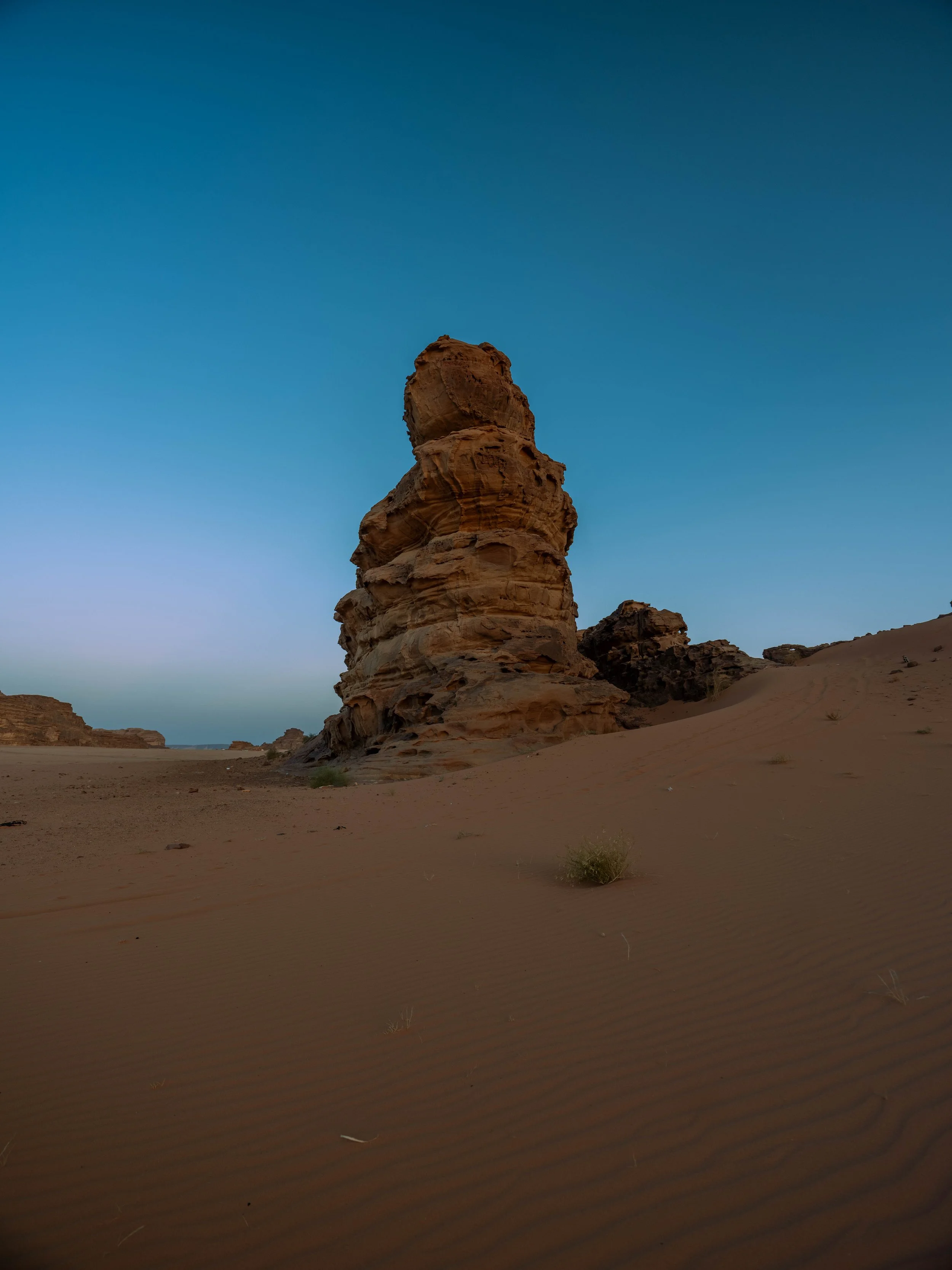 _DSF7799.jpg