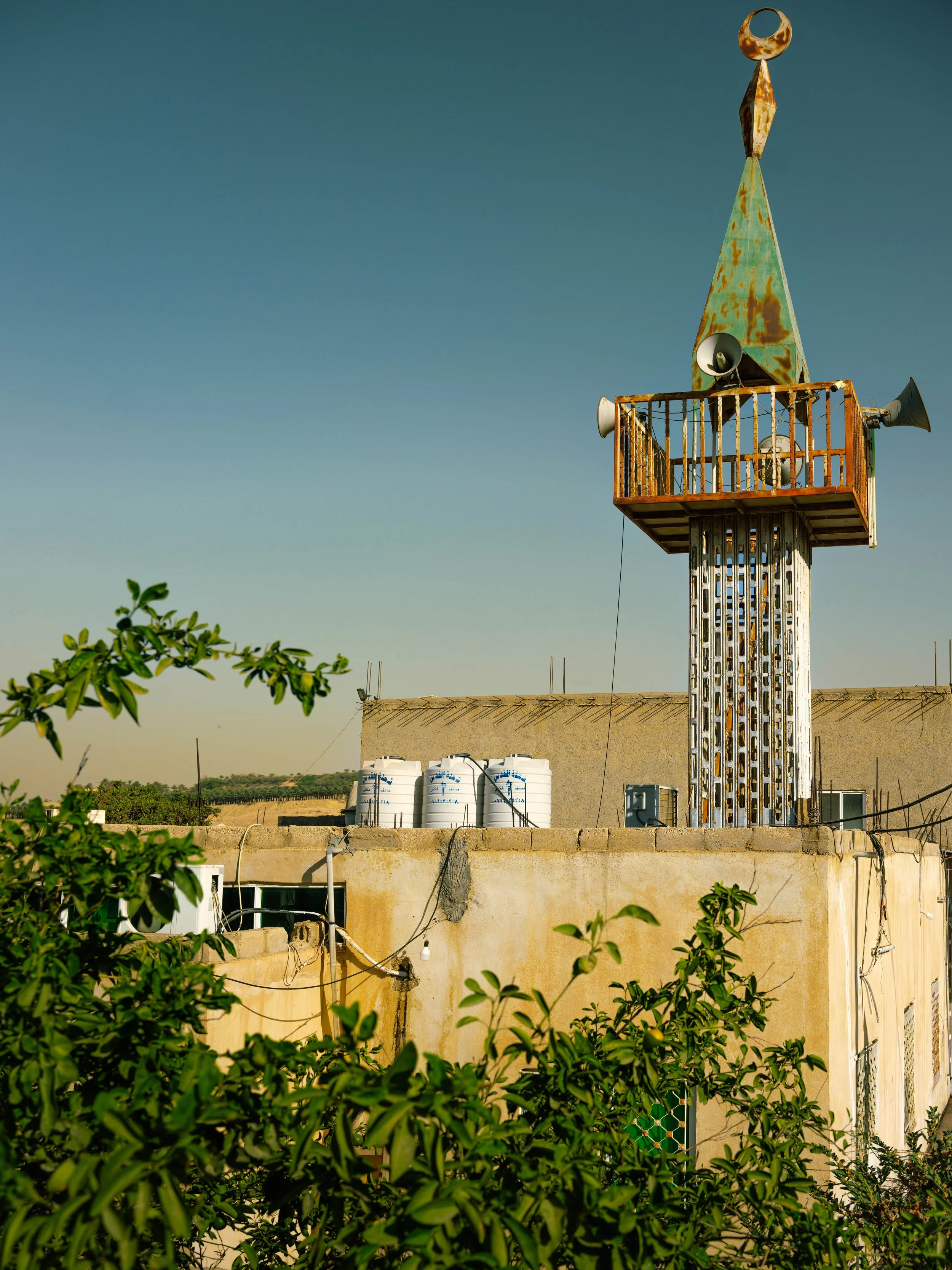 _DSF3771.jpg