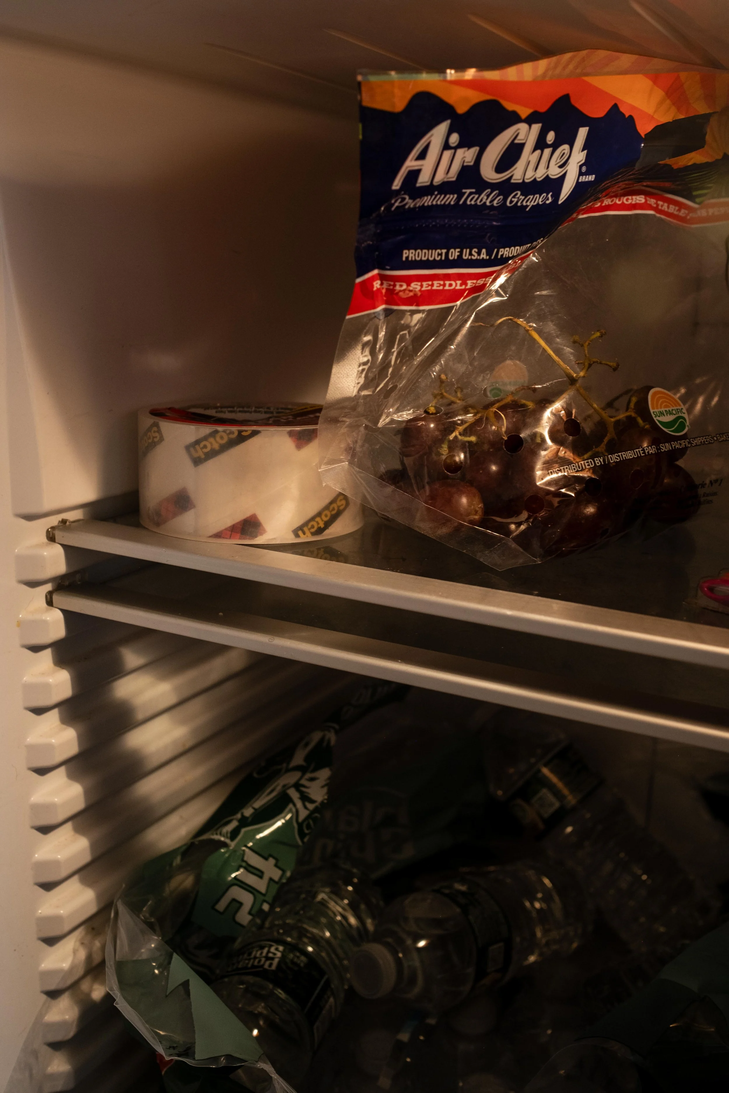 DSCF7938.jpg