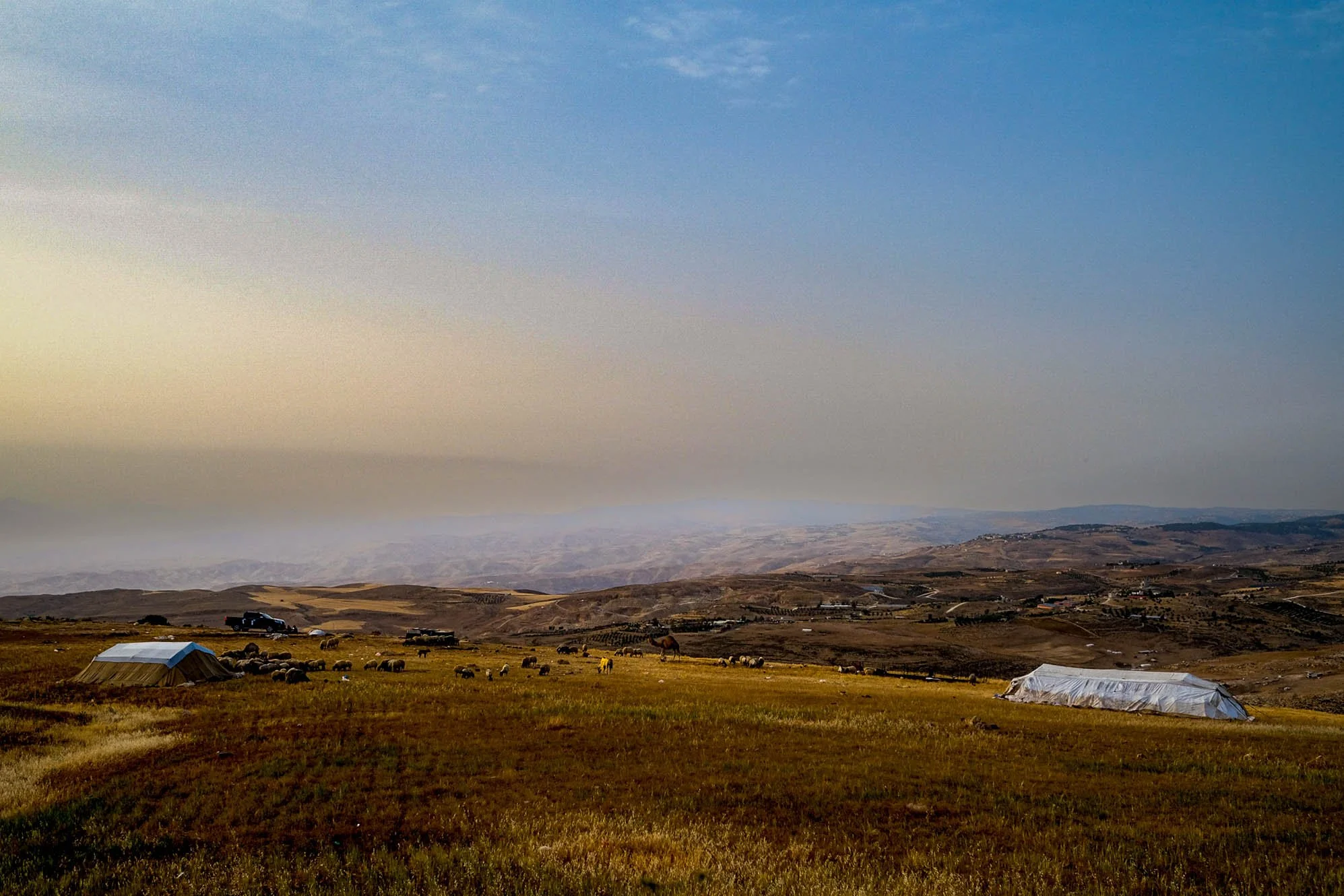 DSCF5634-2.jpg