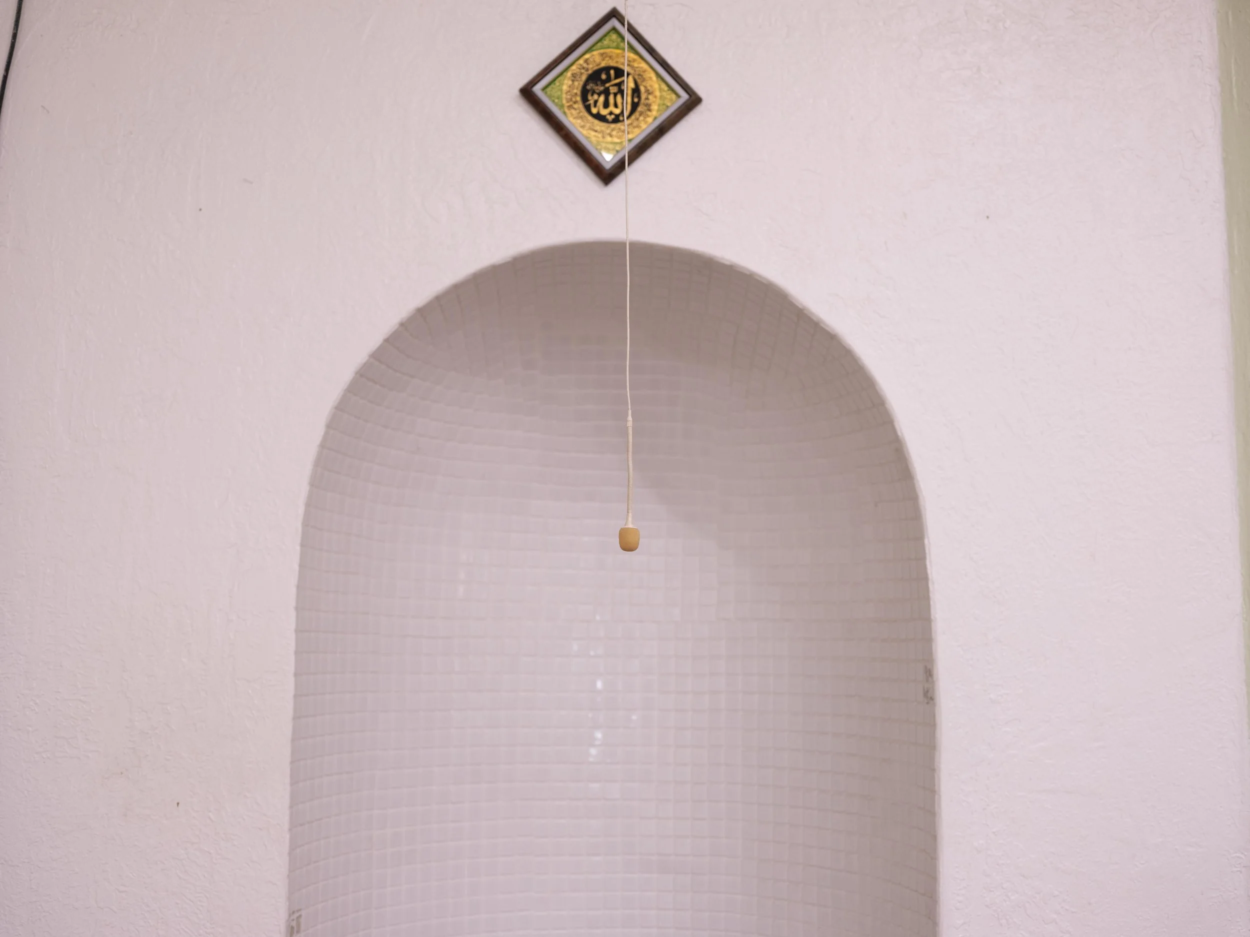 _DSF5467.jpg