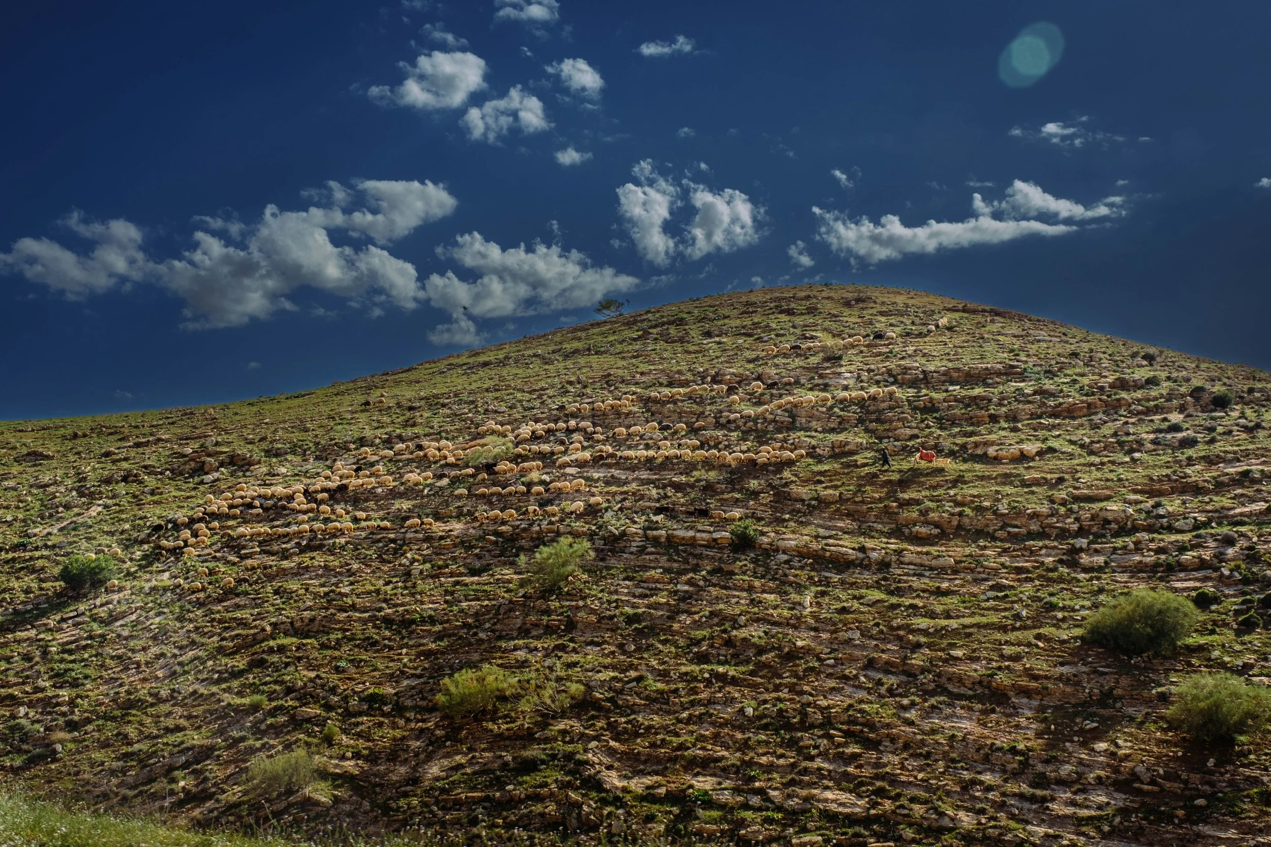 DSCF9247.jpg