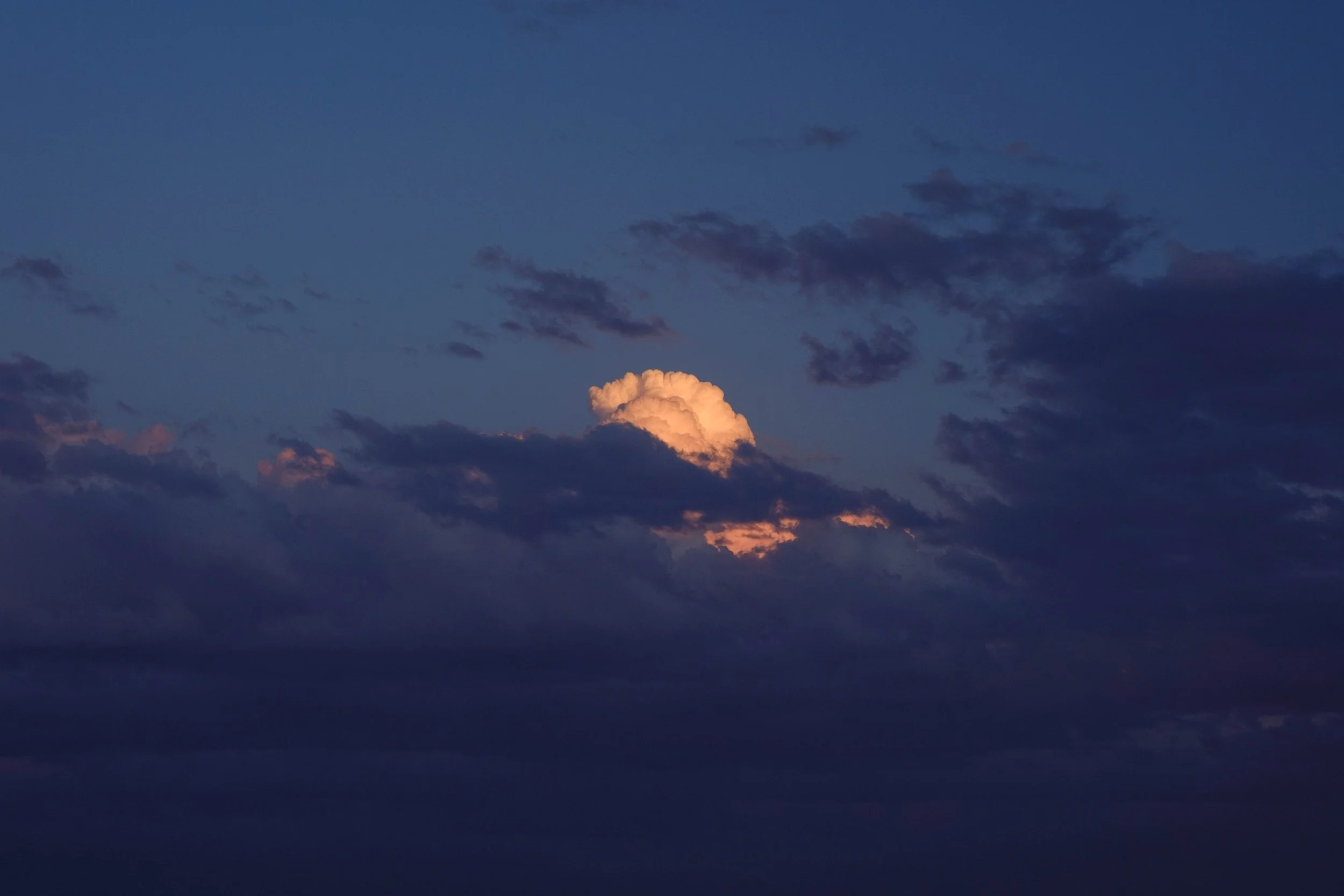 DSCF9347.jpg