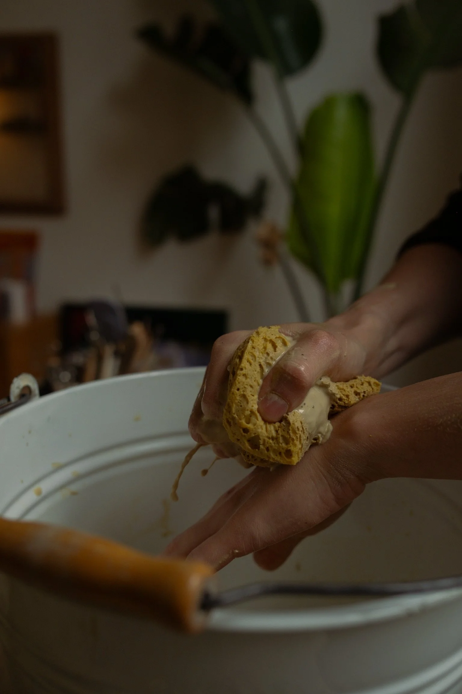 DSCF1683.jpg