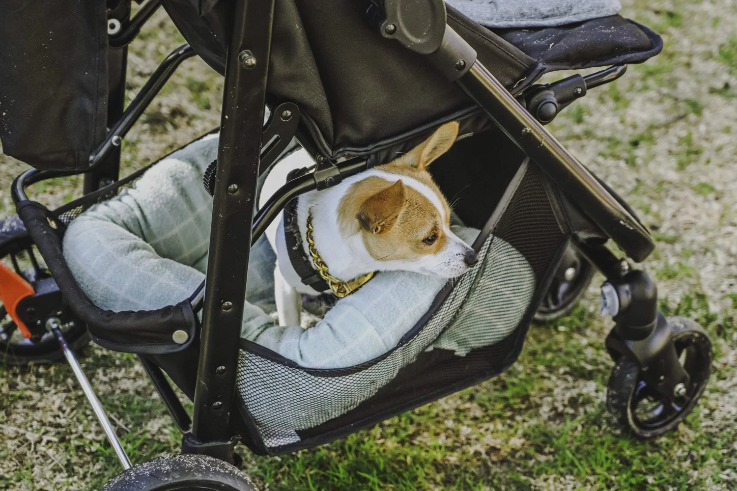 Eastern Hills Community Kindergarten & Playgroup, Perth Hills WA