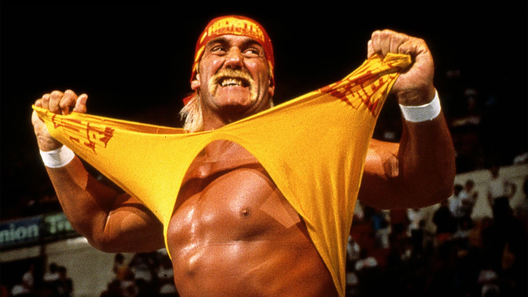Hulk Hogan