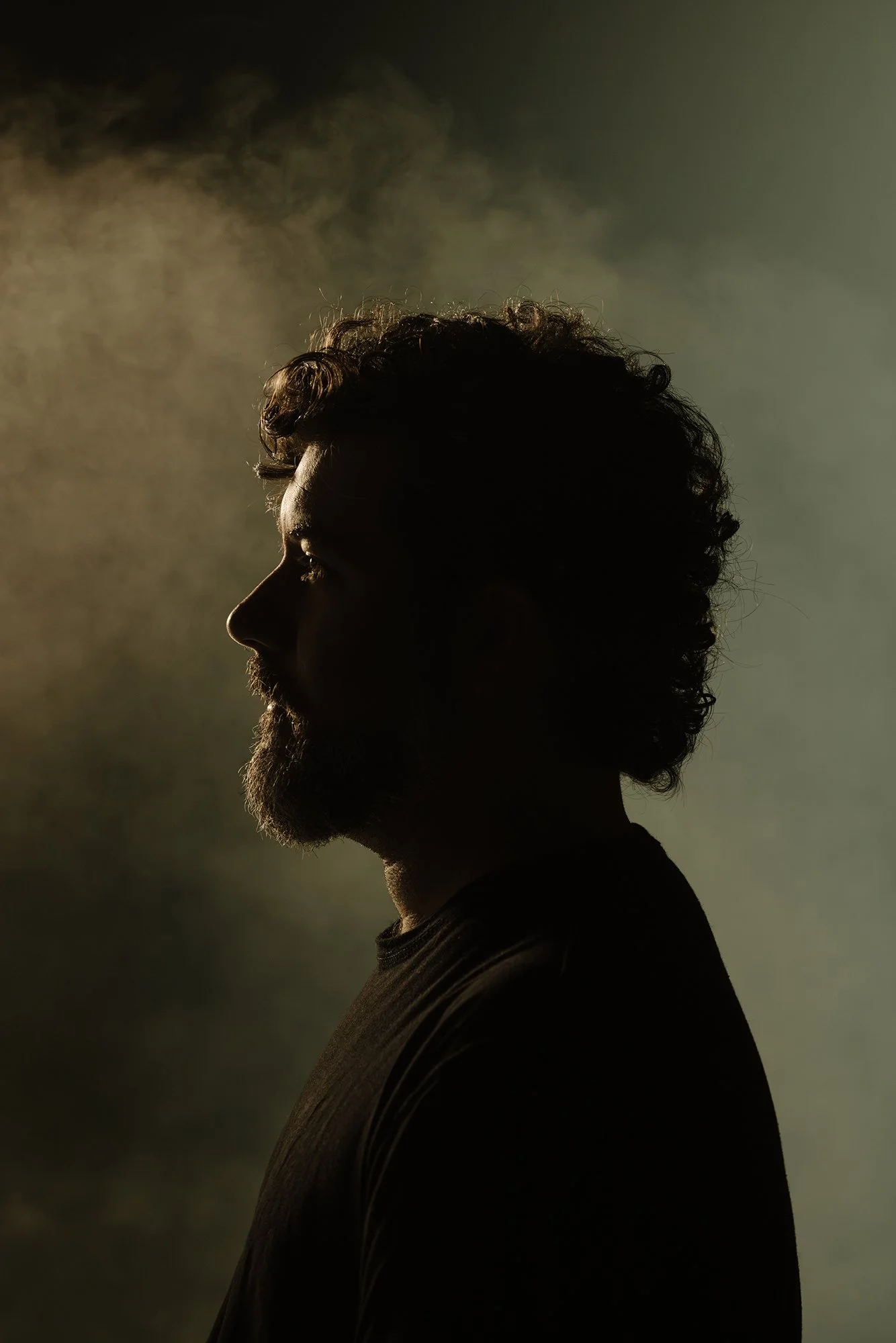 Hippocampe // Projections