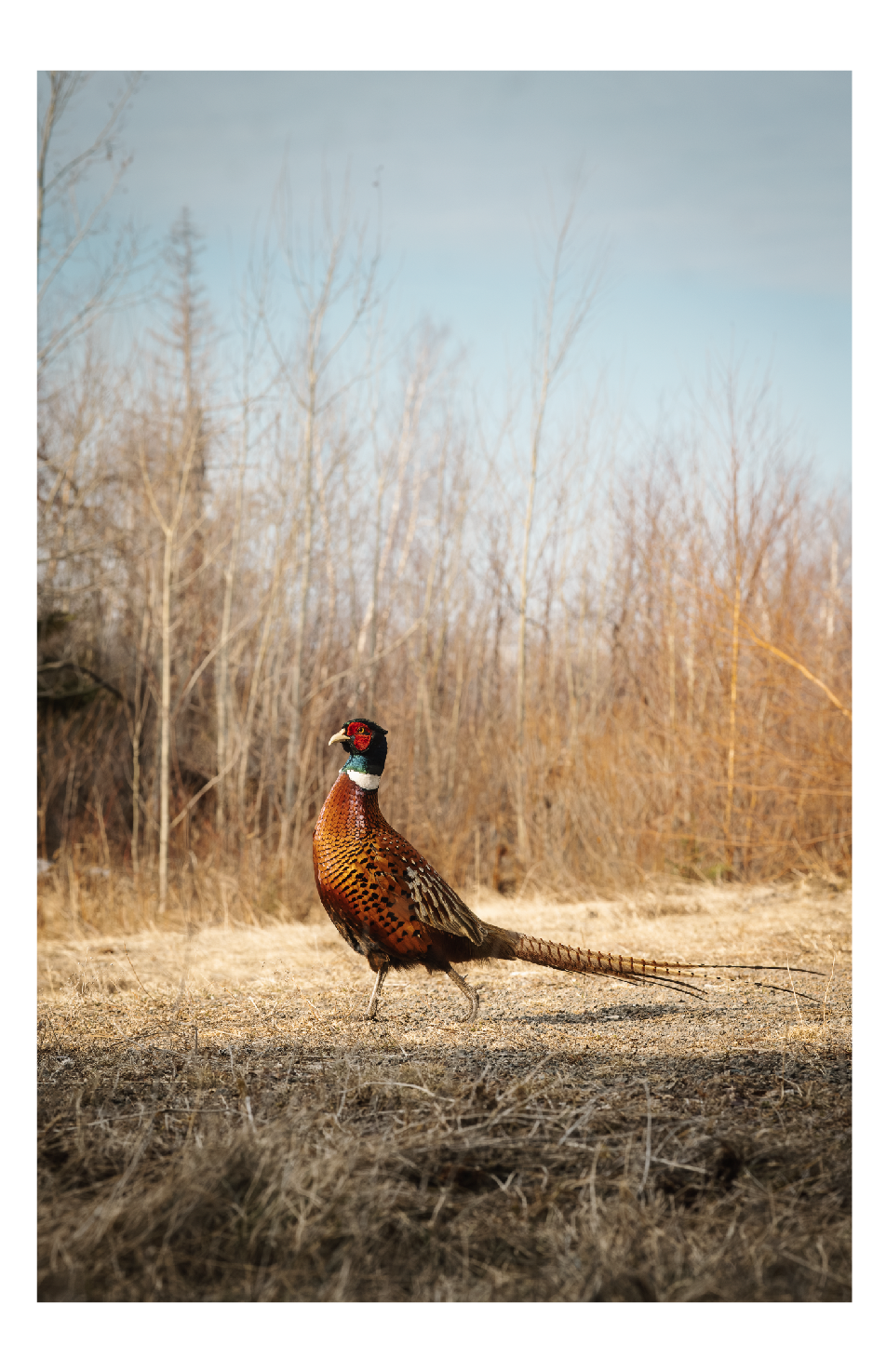 Screenshot 2026-04-12 at 12.44.00.png