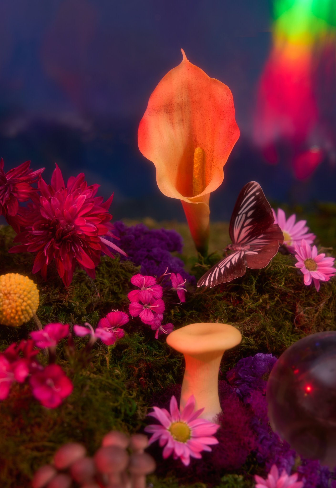 SDL-Cosmic Fungi-129.jpg