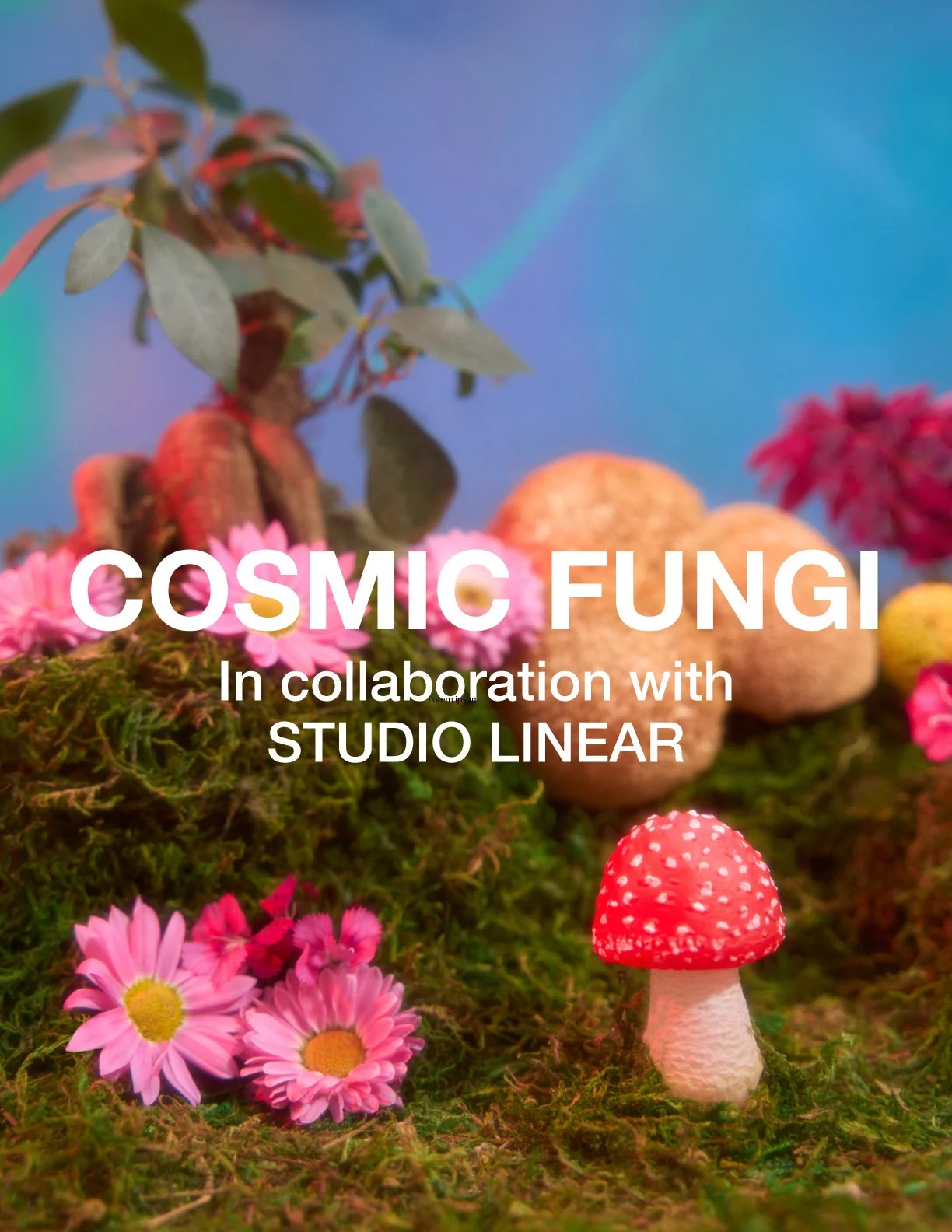 Cosmic-Fungi-Cover.jpg