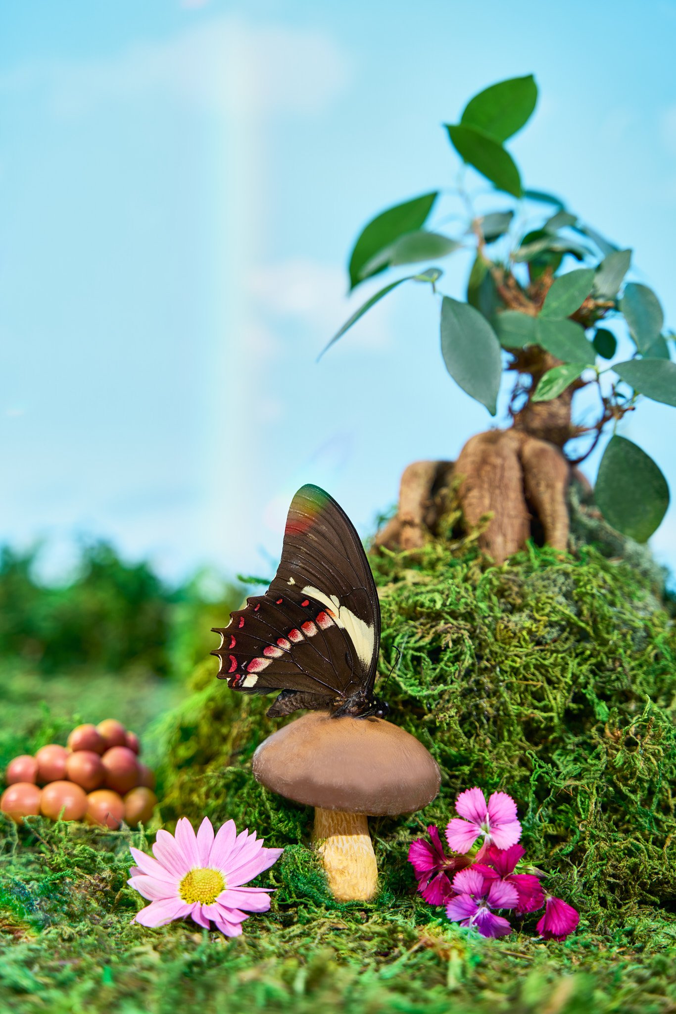 SDL-Cosmic Fungi-53 1.jpg