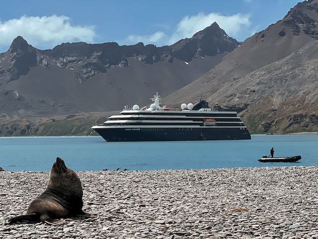 South Georgia - Atlas World Navigator from the Beach.jpeg