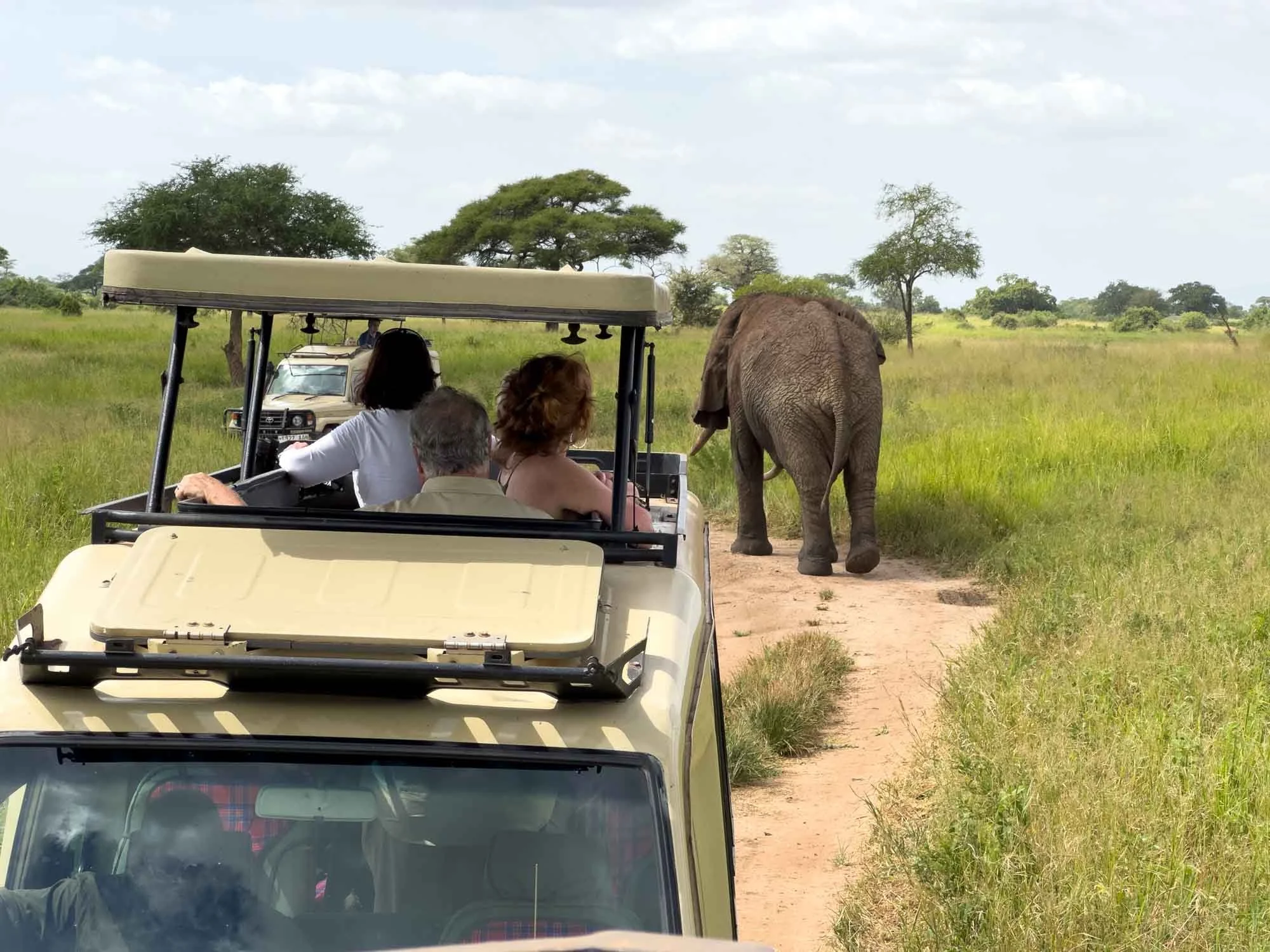 Safari Web Shots-15.jpg