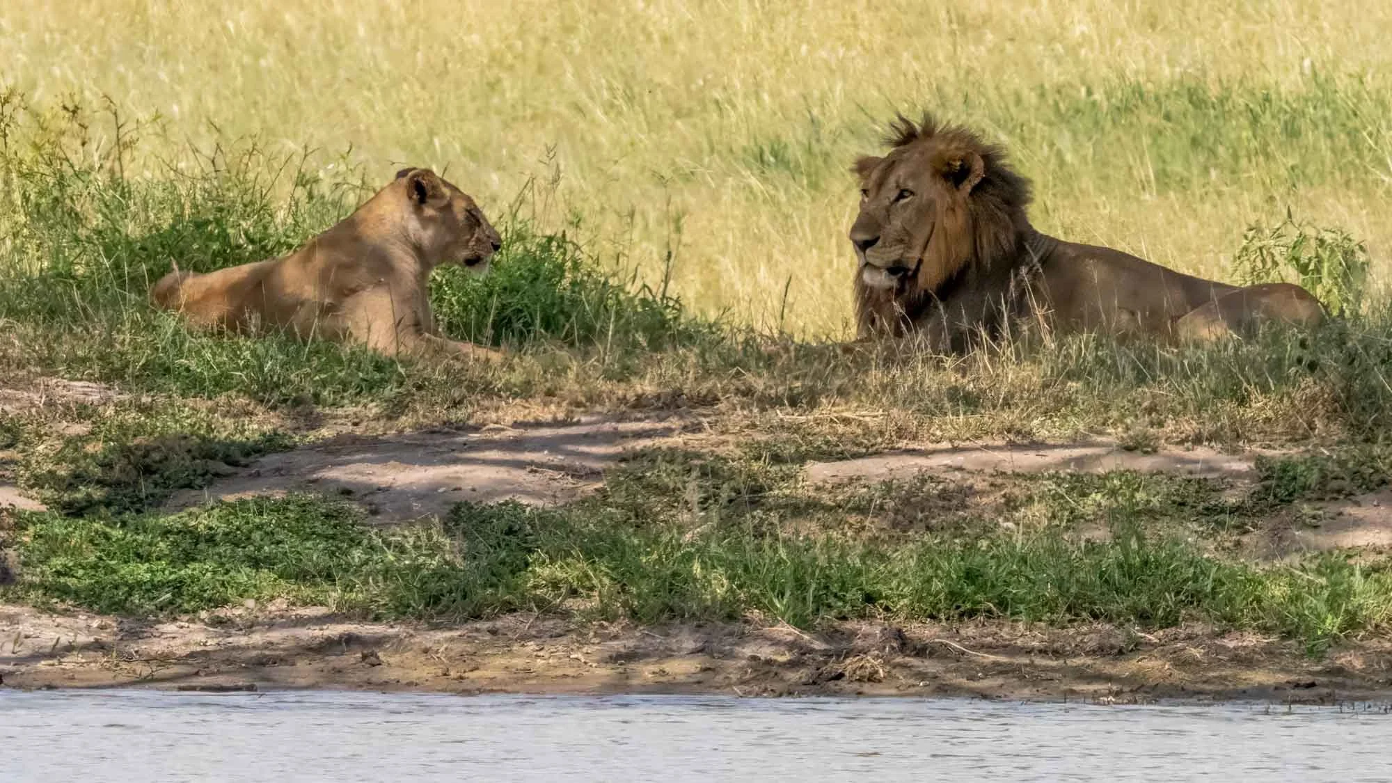 Safari Web Shots-22.jpg