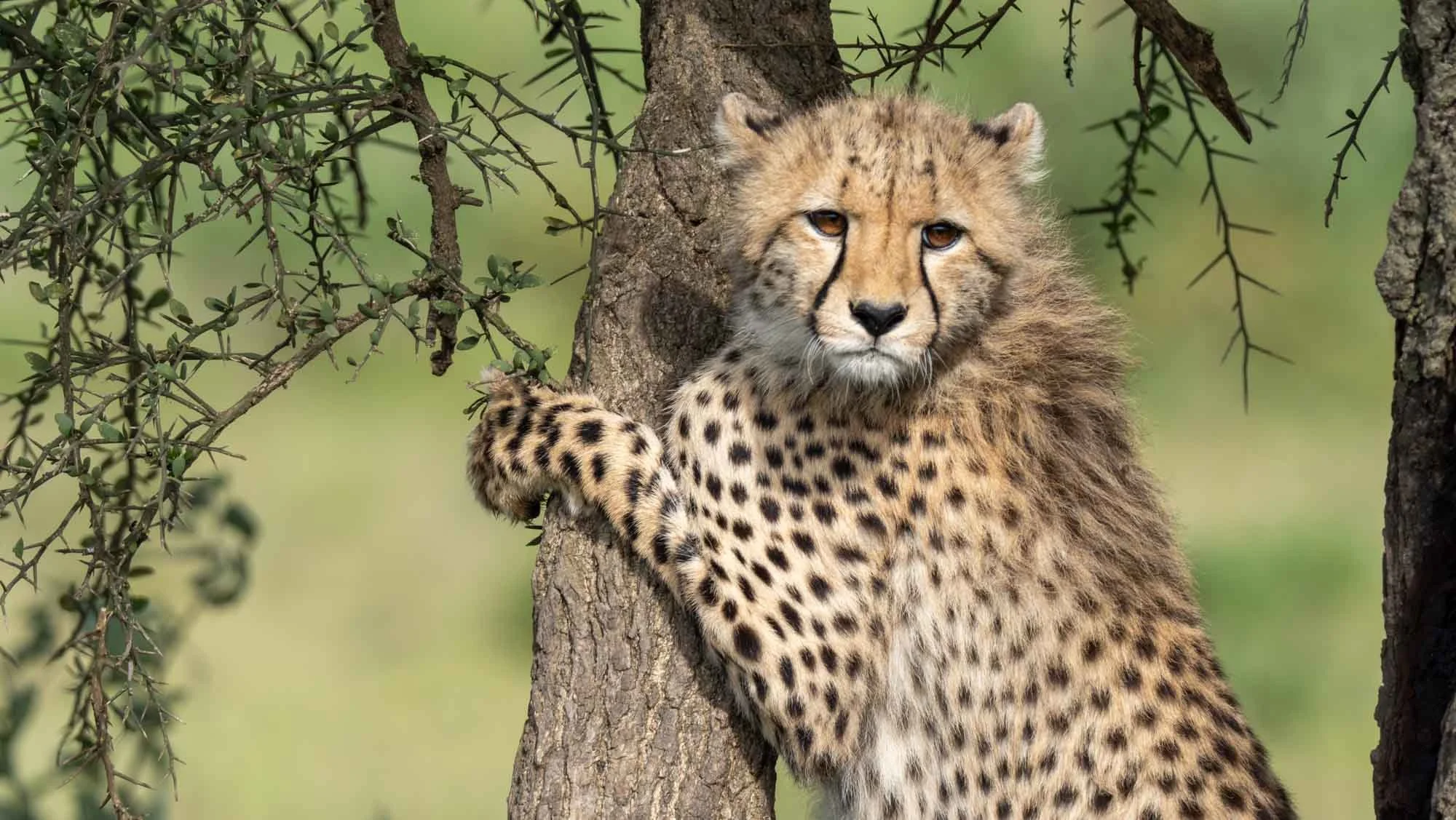 Safari Web Shots-26.jpg