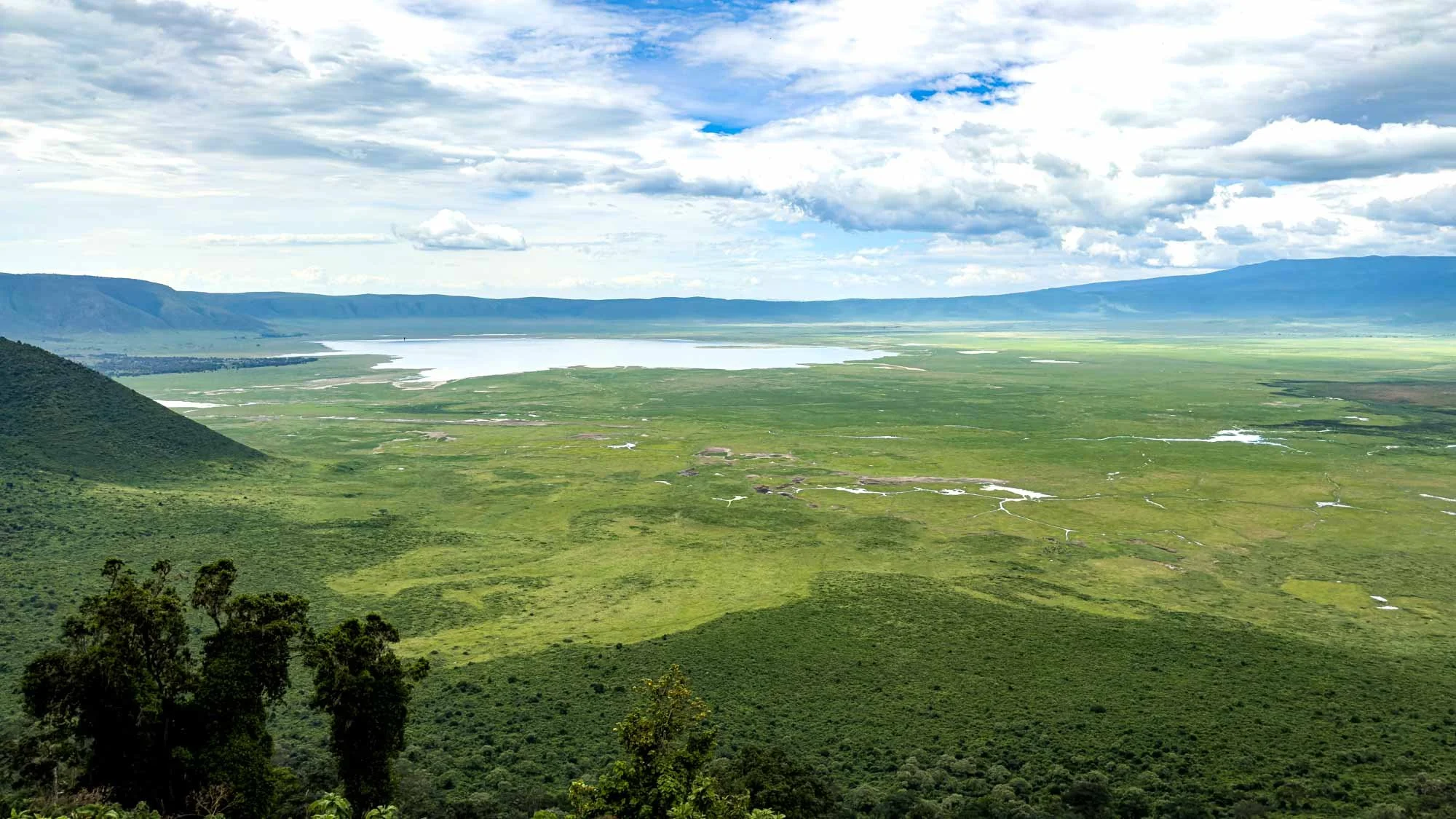 Safari Web Shots-31.jpg