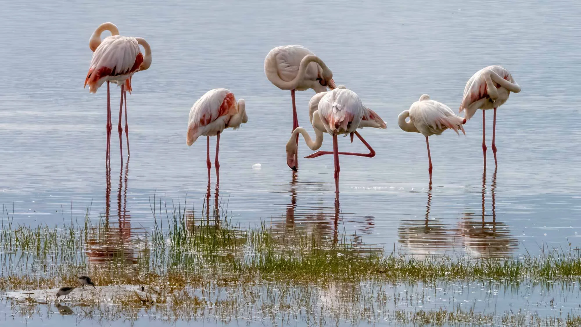 Safari Web Shots-33.jpg