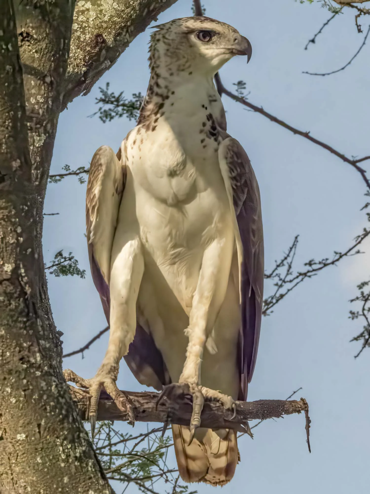 Safari Web Shots-38.jpg