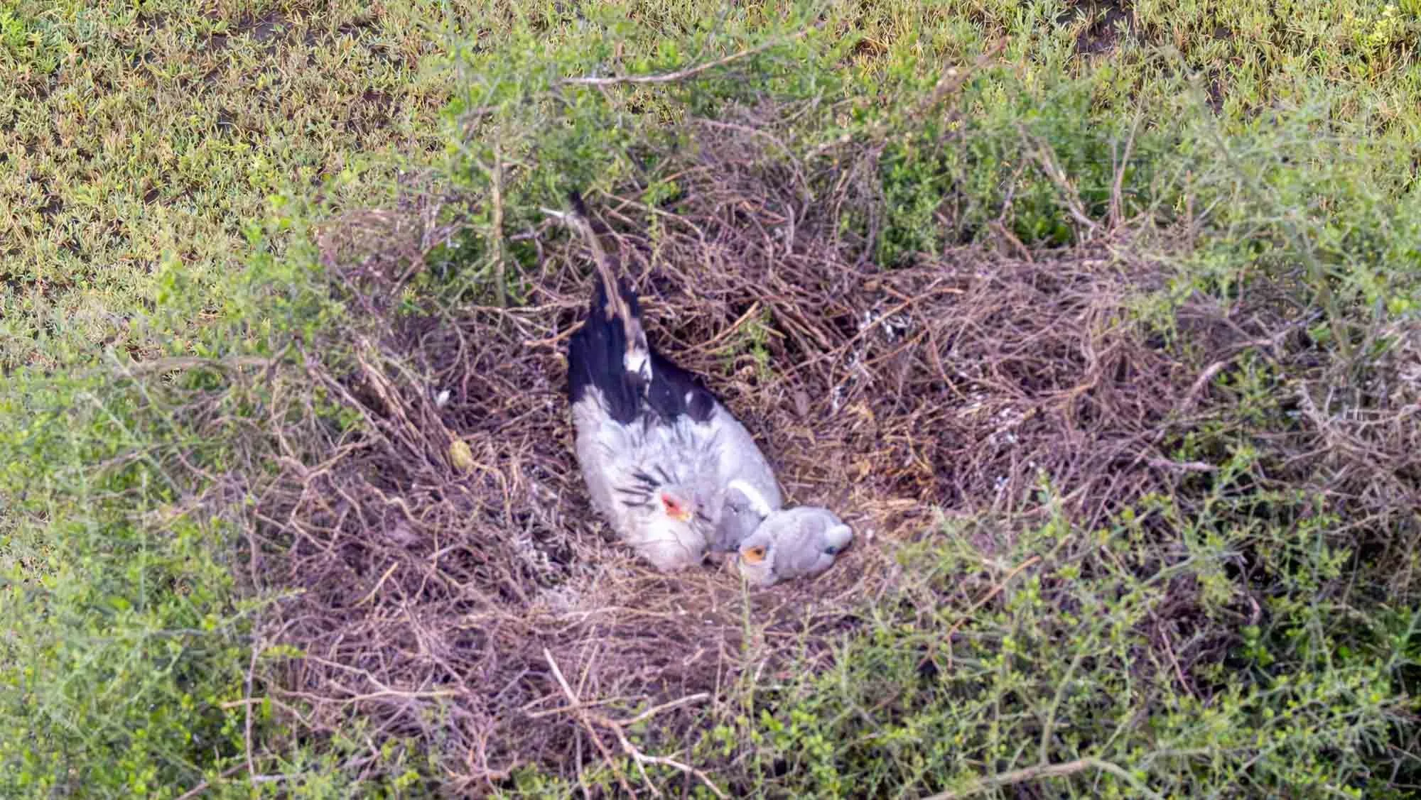 Safari Web Shots-45.jpg