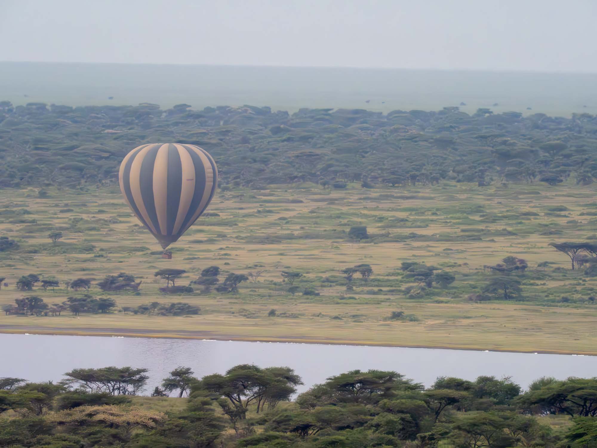 Safari Web Shots-51.jpg