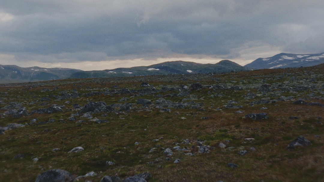 Open landscape with rocky terrain, low vegetation, and distant mountains under cloudy sky.
