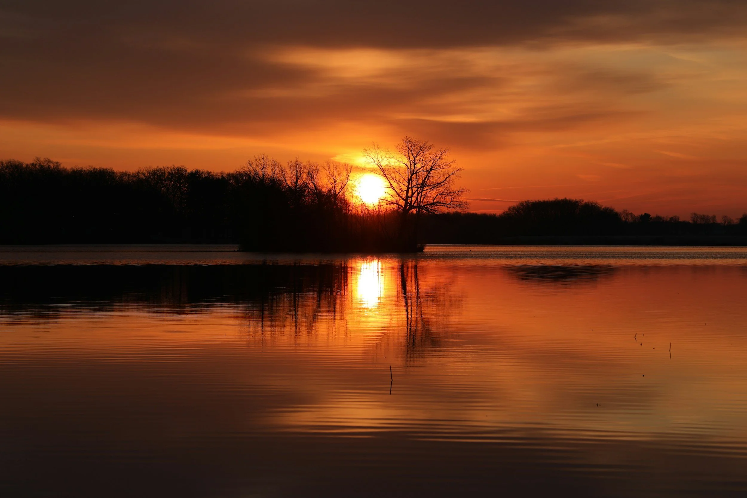 Equinox Online Meditation Back to Balance