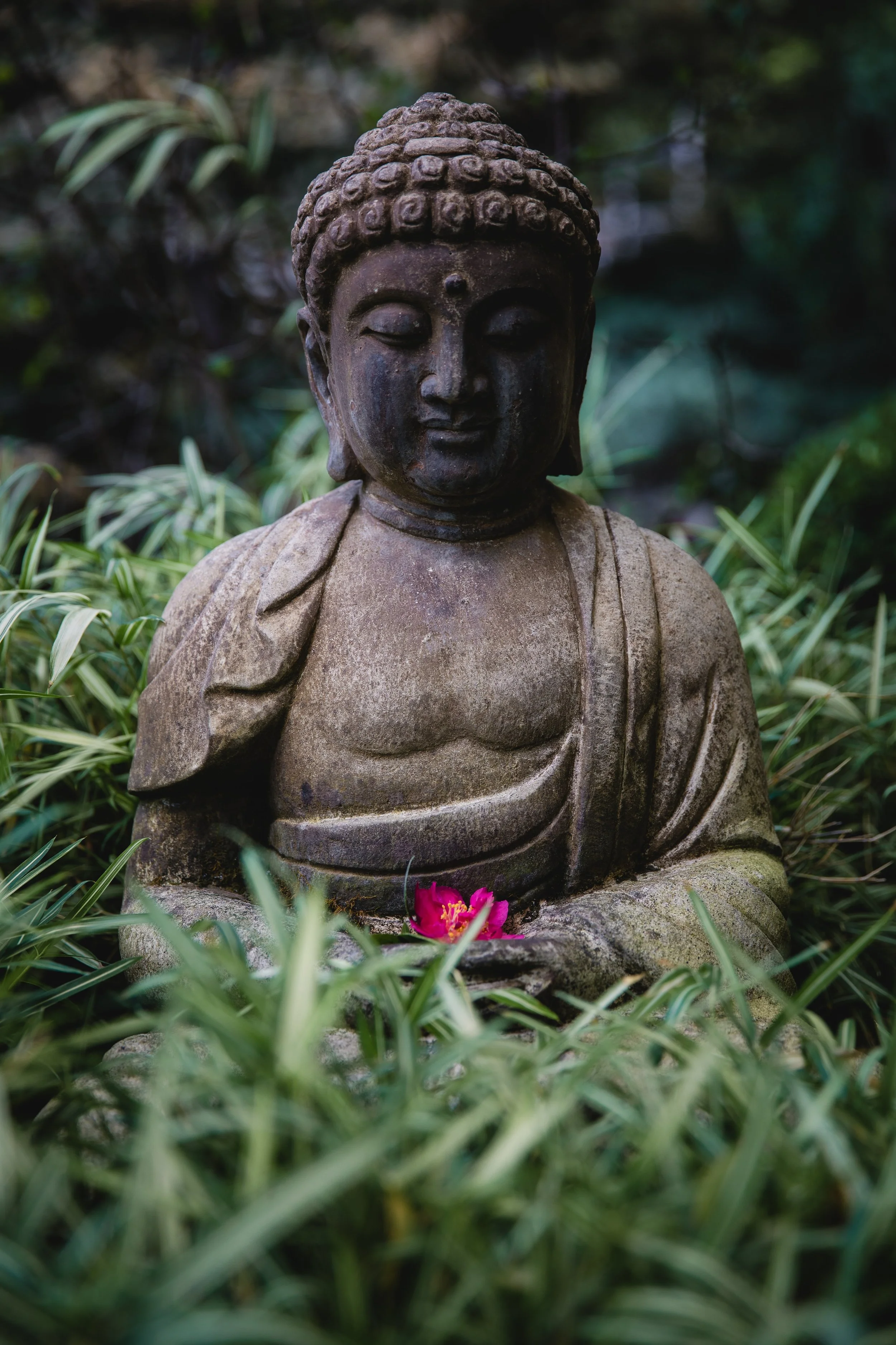 Tibetan Figure 8 Healing Live Online Course, 6 September 2026, 10.30am - 1pm