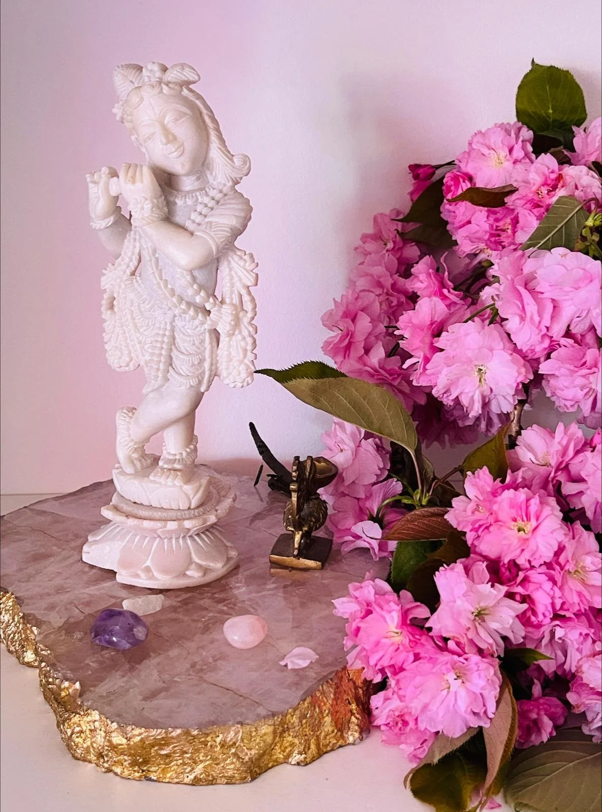 Live Online 108 Krishna Mantras for Janmashtami, 5 September 2026 at 8pm