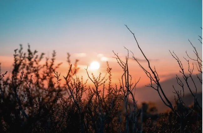 Winter Solstice Live Online Meditation, 21 December 2026 at 8pm