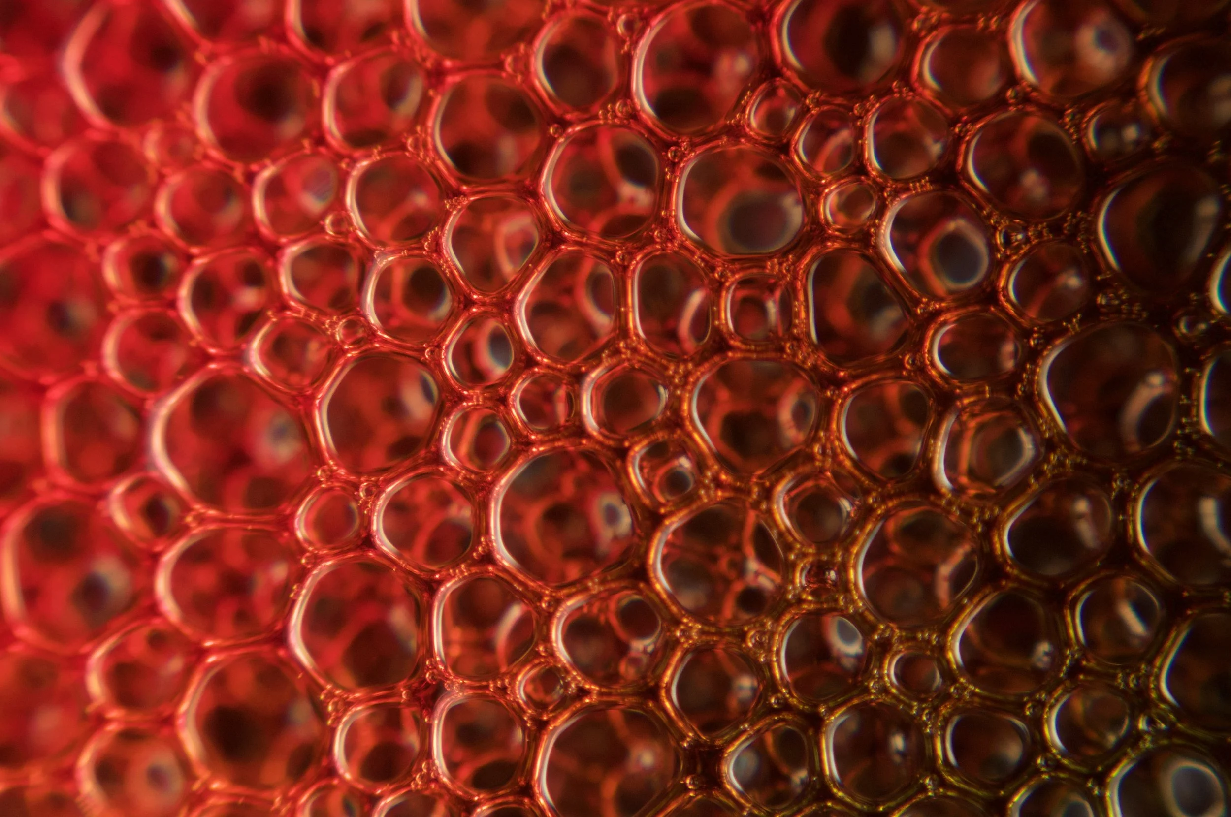 _DSC0132 (13).jpeg