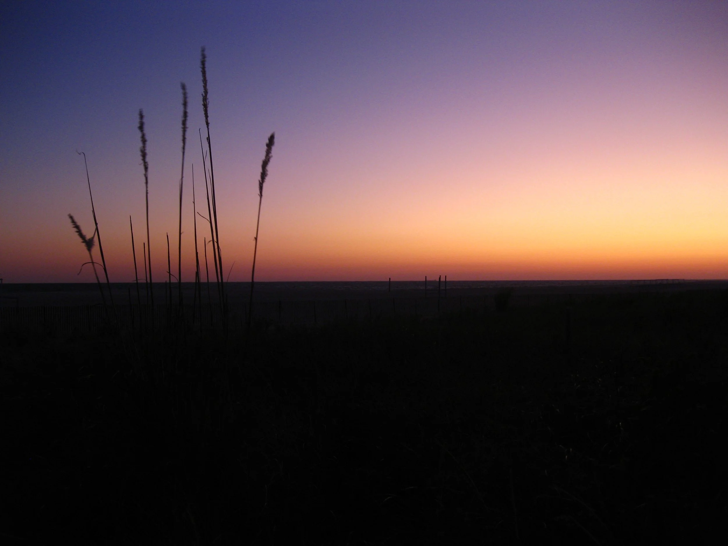 IMG_0327.jpeg