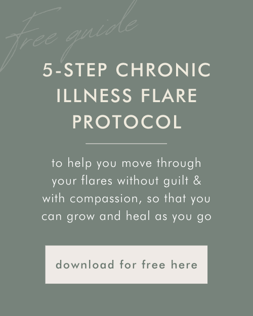chronic-illness-flare-guide-protocol-alana-holloway-chronic-illness-coach-dog-allergies