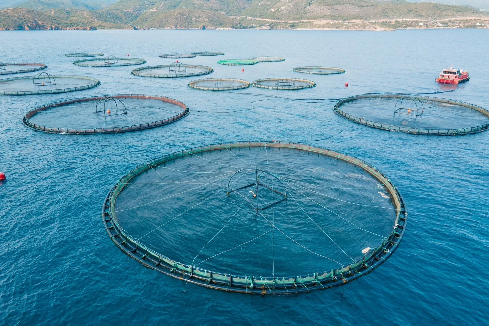 AQUACULTURE